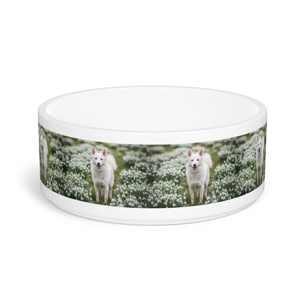 Ceramic Pet Bowl – 16 oz Dog Feeding Bowl