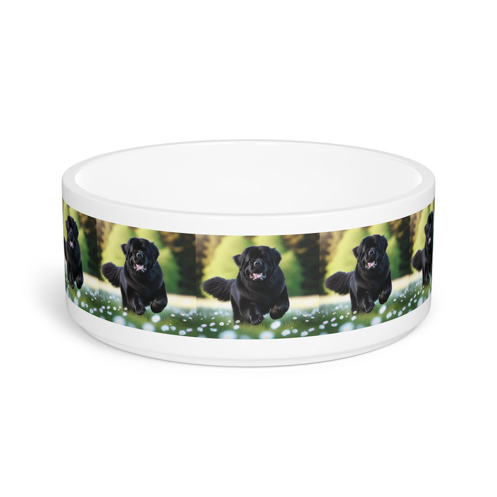 Ceramic Pet Bowl – 16 oz Dog Feeding Bowl