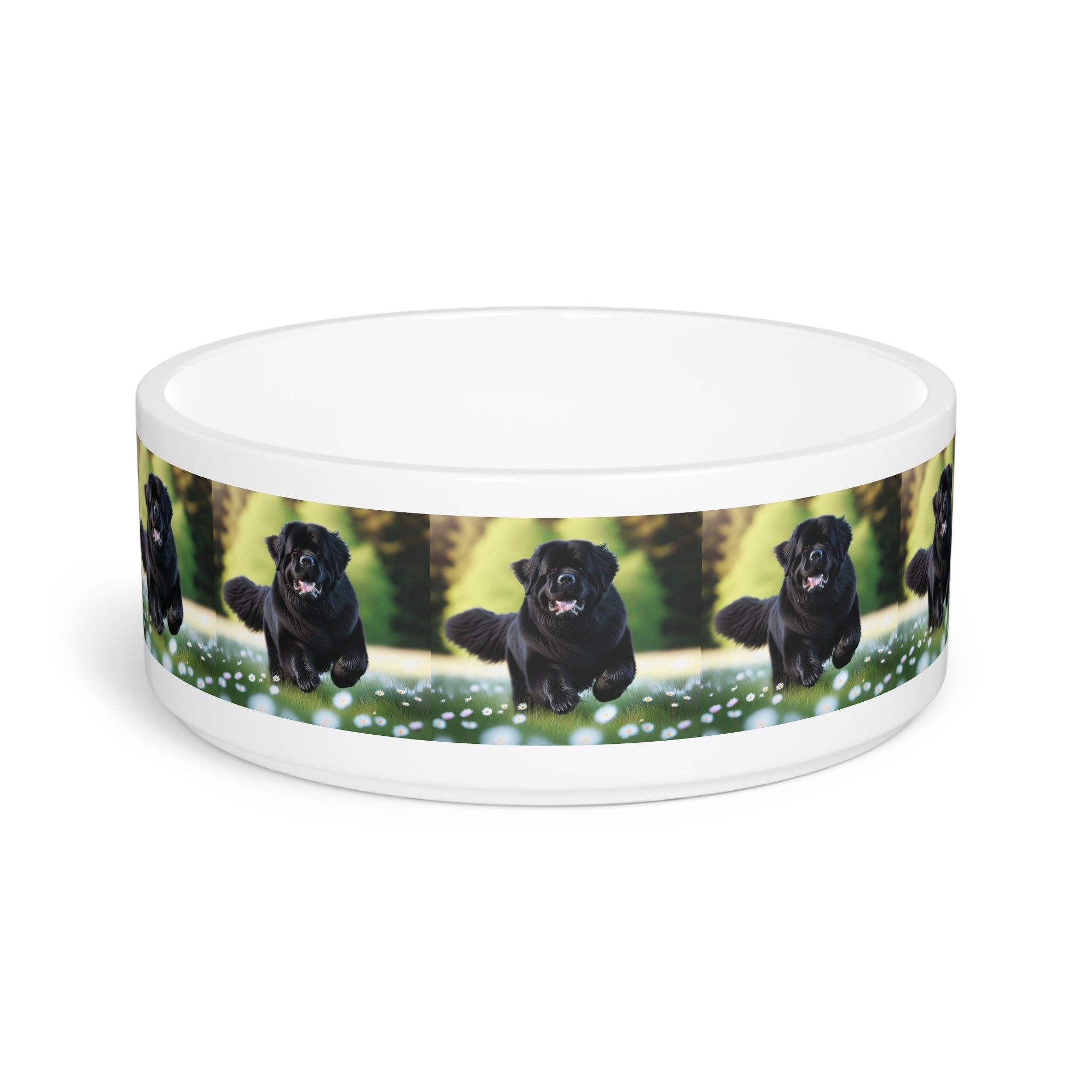 Ceramic Pet Bowl – 16 oz Dog Feeding Bowl