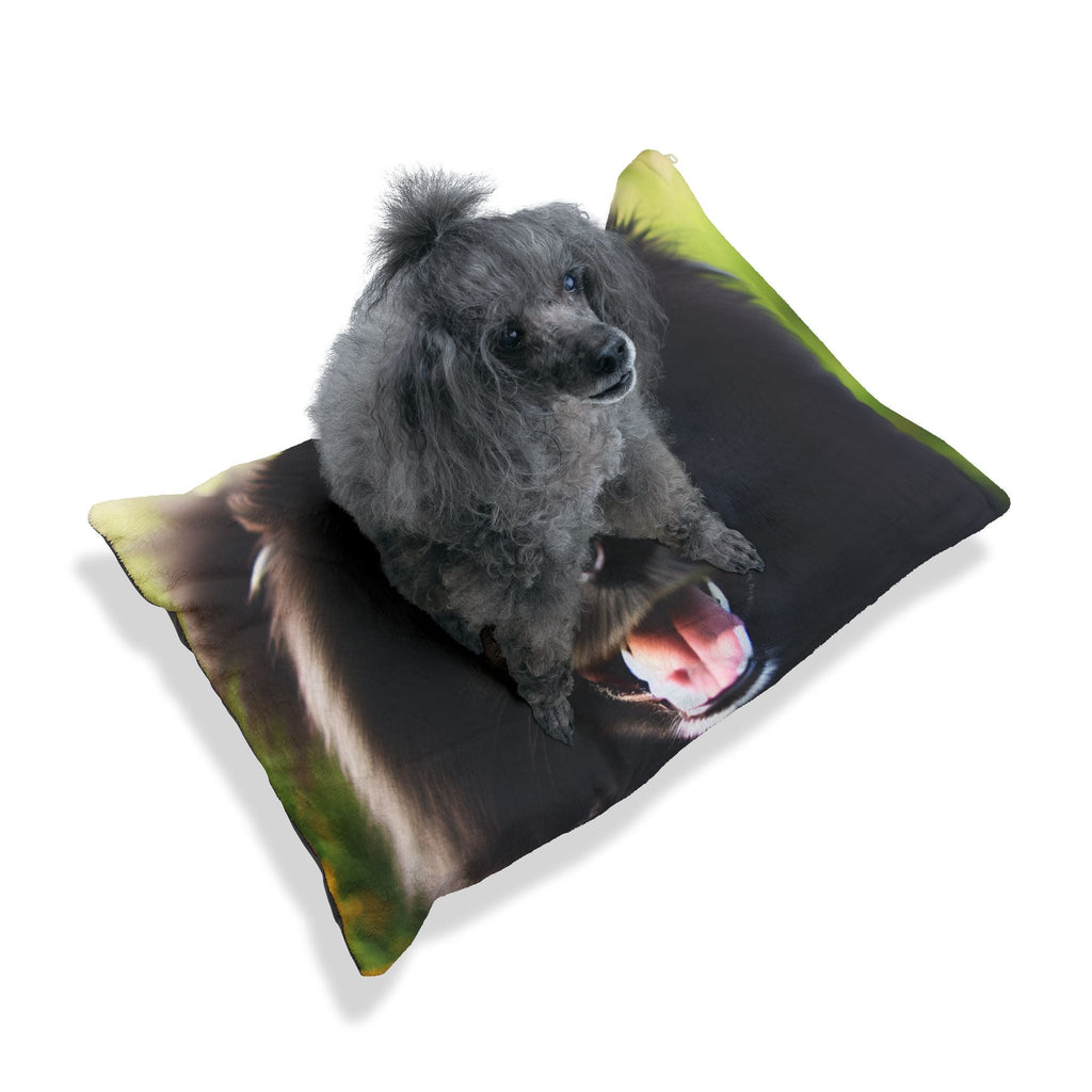 Pet Bed – Plush Dog Bed, 3 Size Options