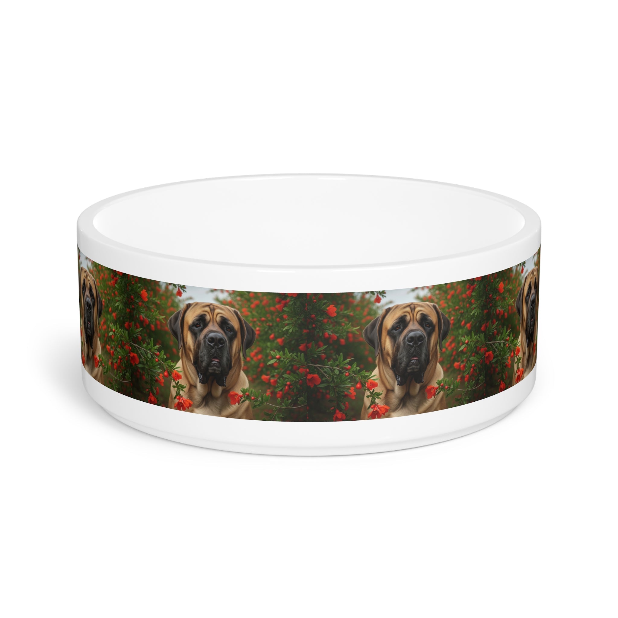 Ceramic Pet Bowl – 16 oz Dog Feeding Bowl