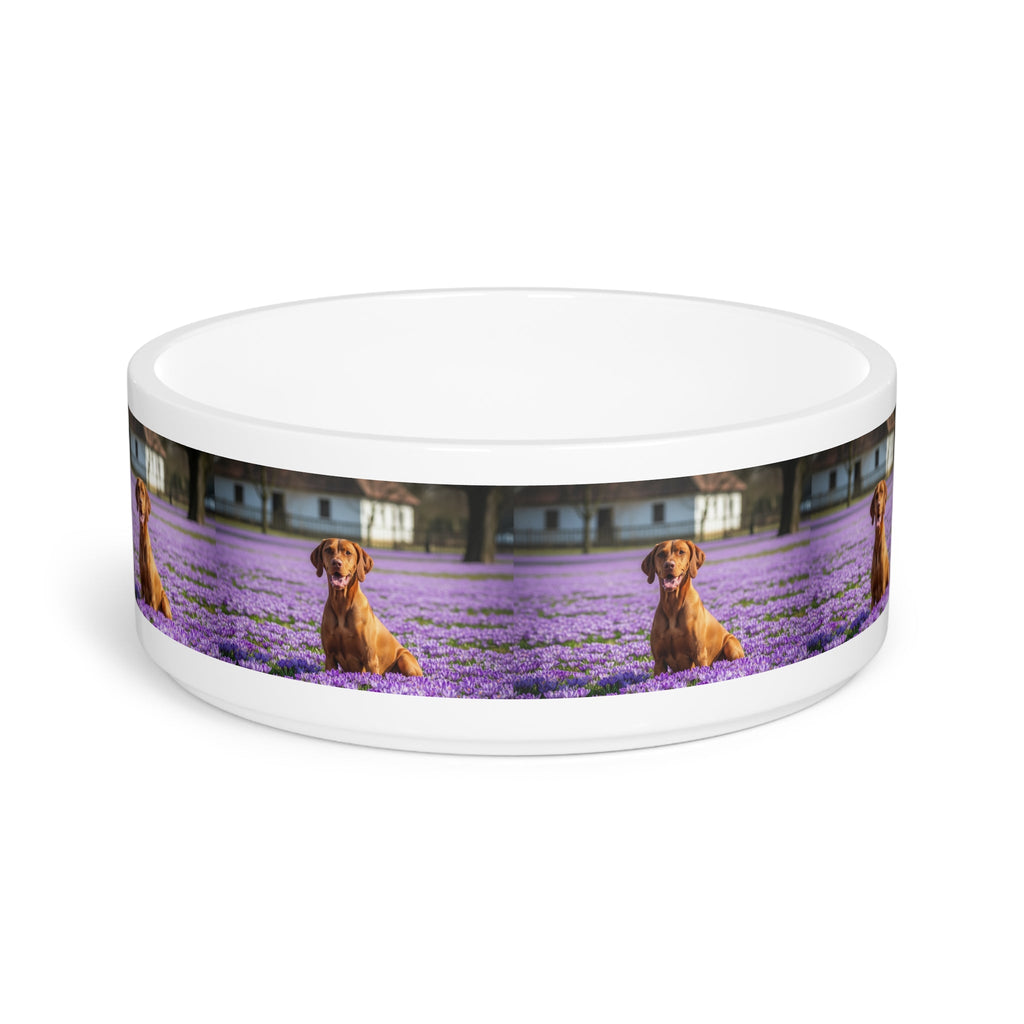 Ceramic Pet Bowl – 16 oz Dog Feeding Bowl