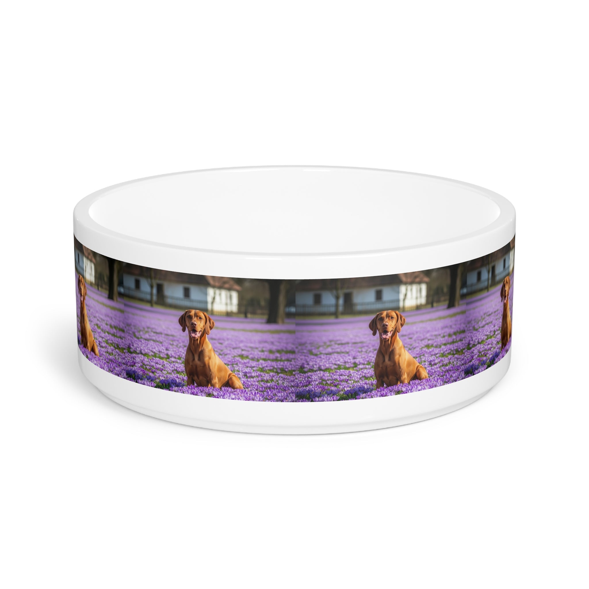 Ceramic Pet Bowl – 16 oz Dog Feeding Bowl