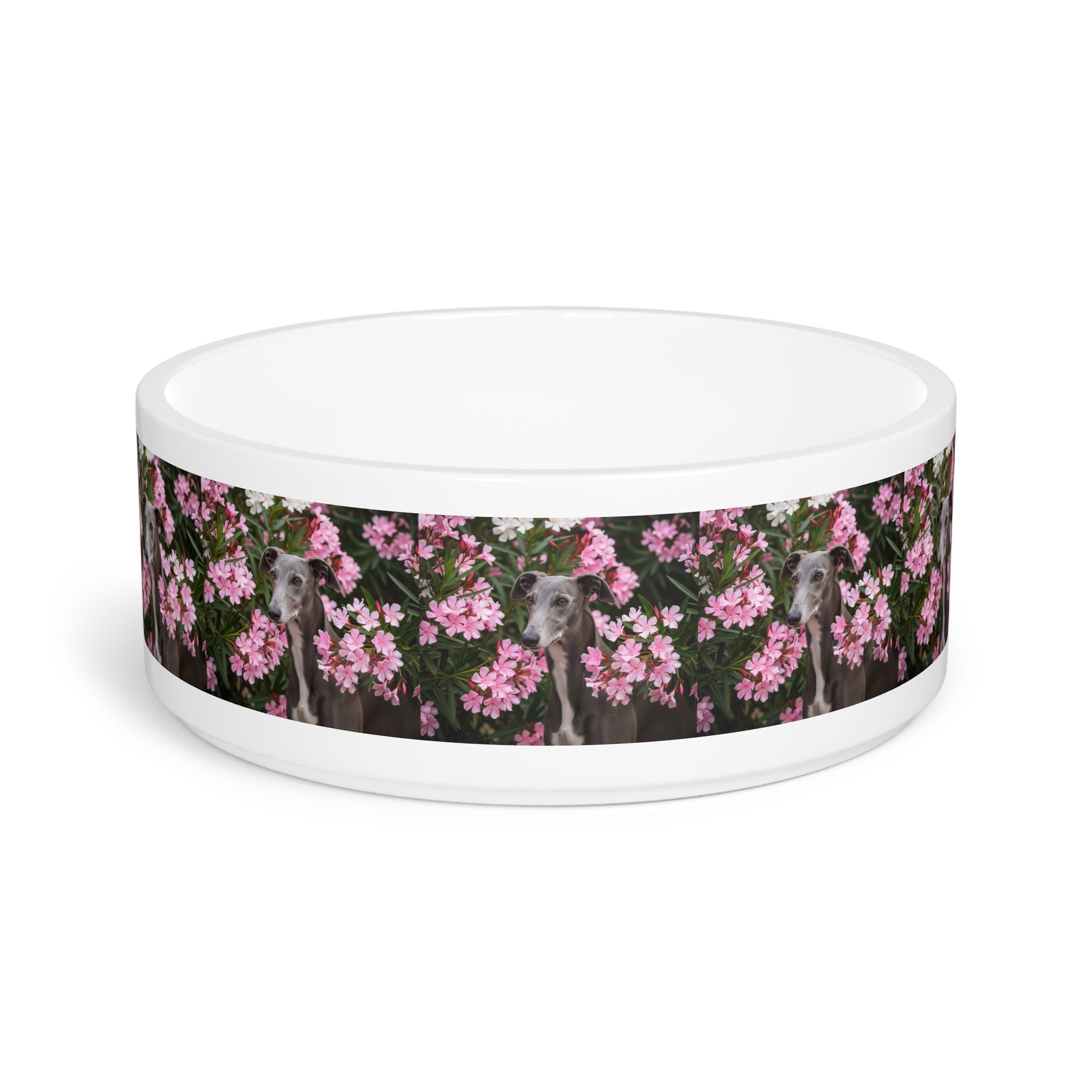 Ceramic Pet Bowl – 16 oz Dog Feeding Bowl