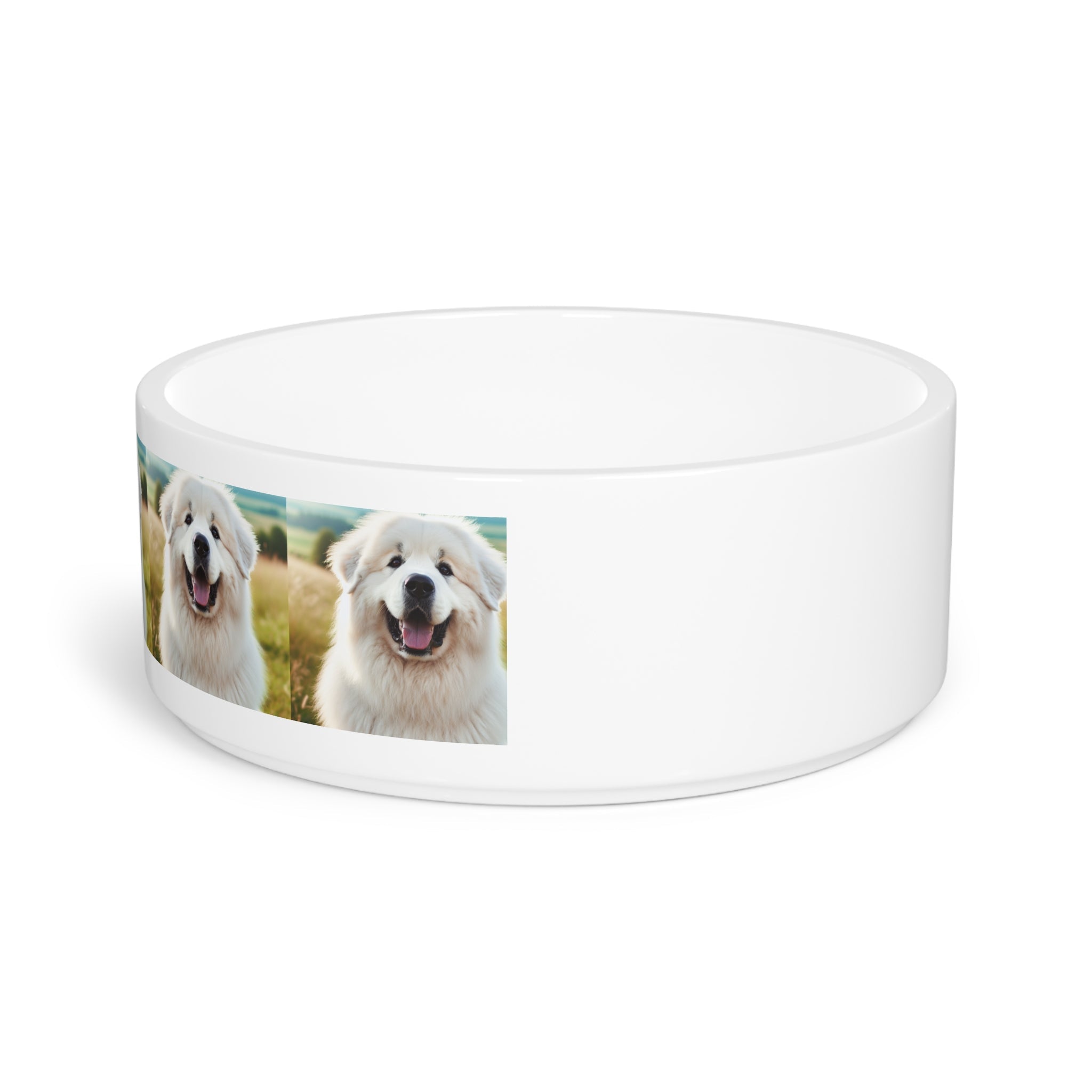 Ceramic Pet Bowl – 16 oz Dog Feeding Bowl