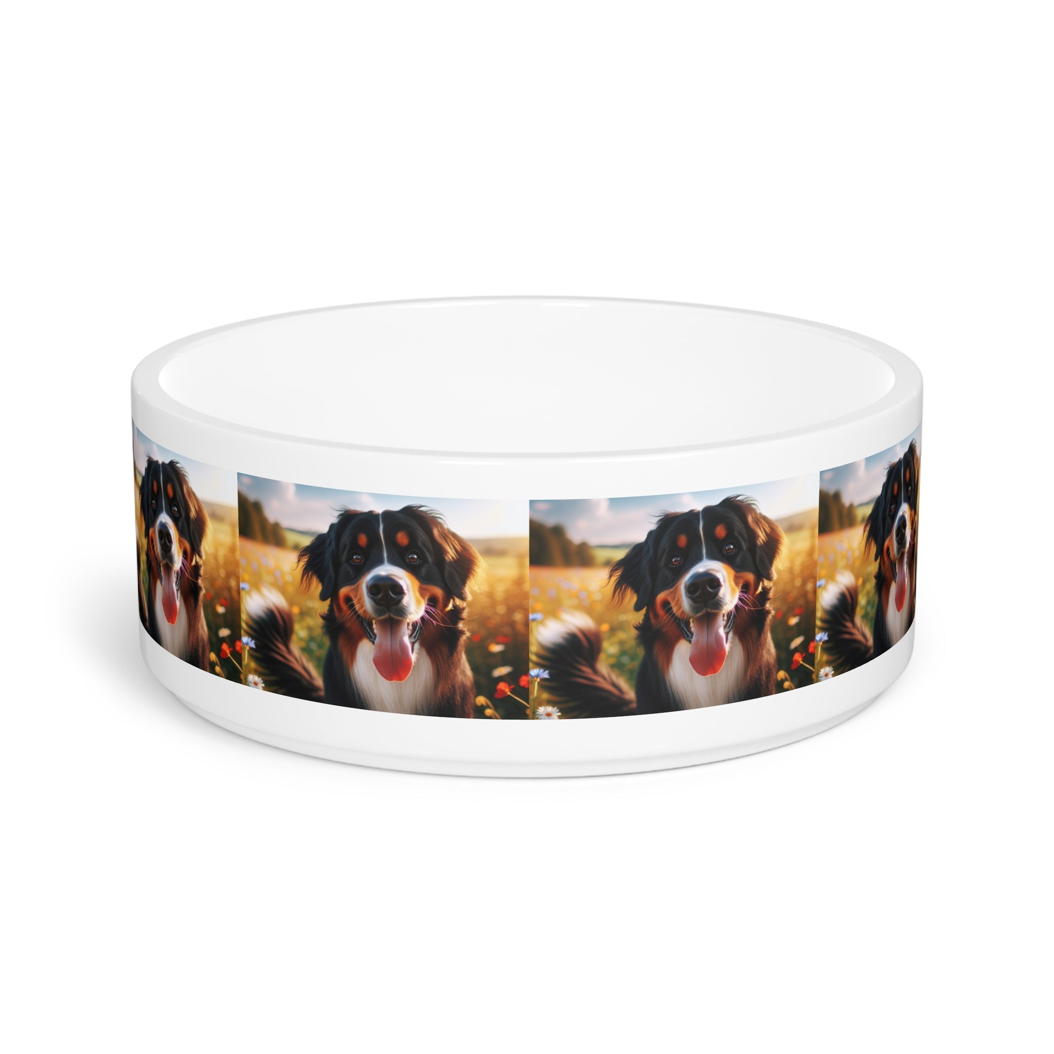 Ceramic Pet Bowl – 16 oz Dog Feeding Bowl