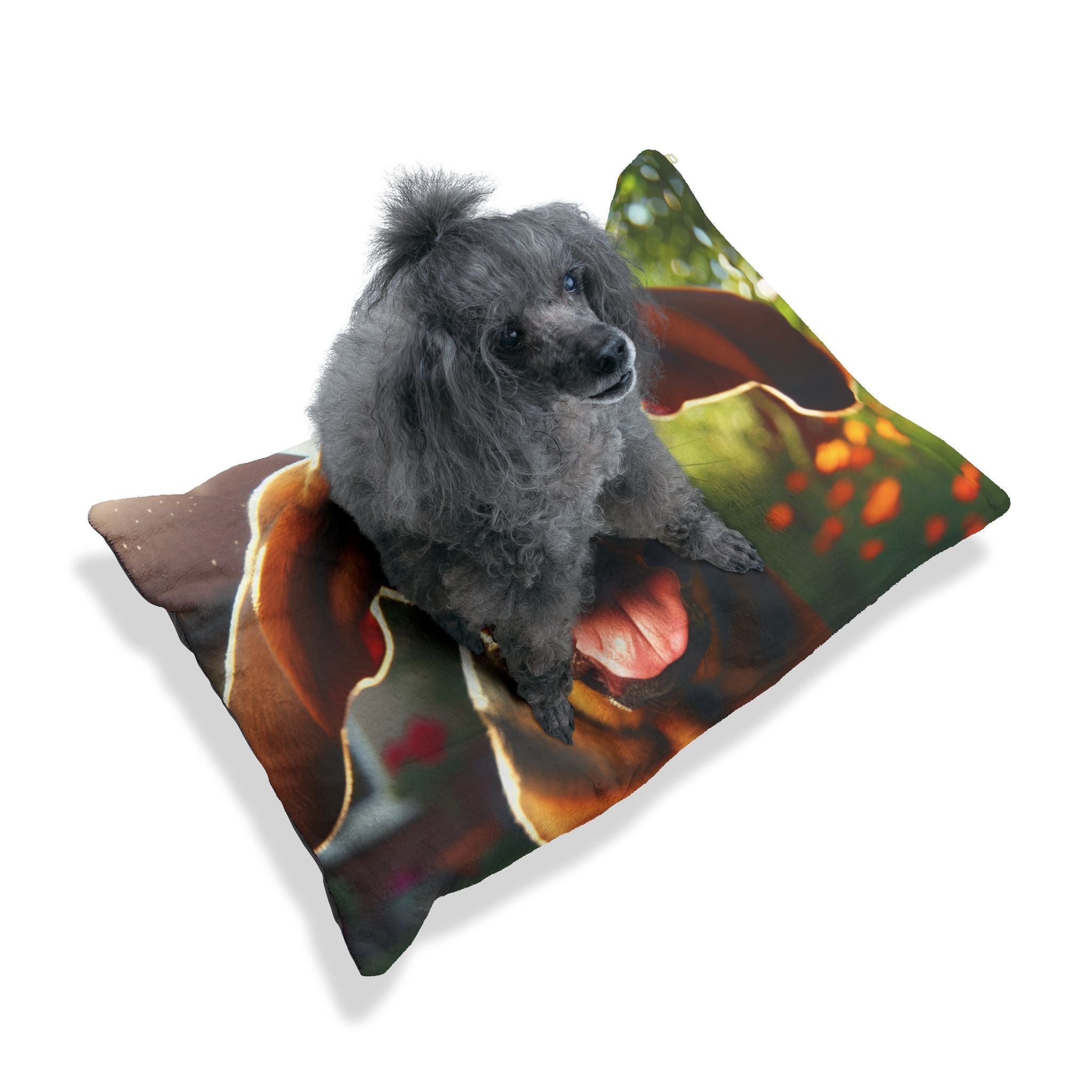 Pet Bed – Plush Dog Bed, 3 Size Options