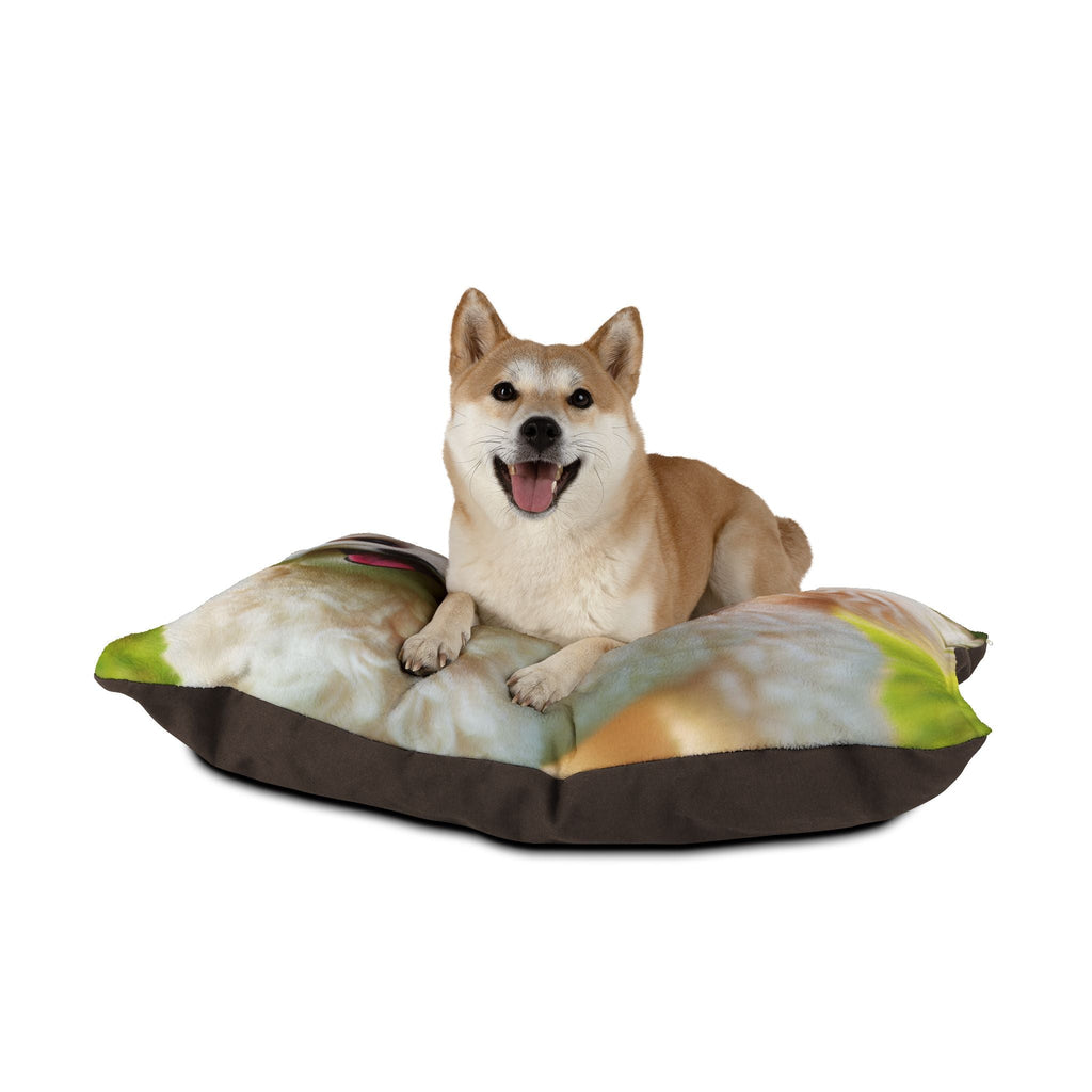 Pet Bed – Plush Dog Bed, 3 Size Options