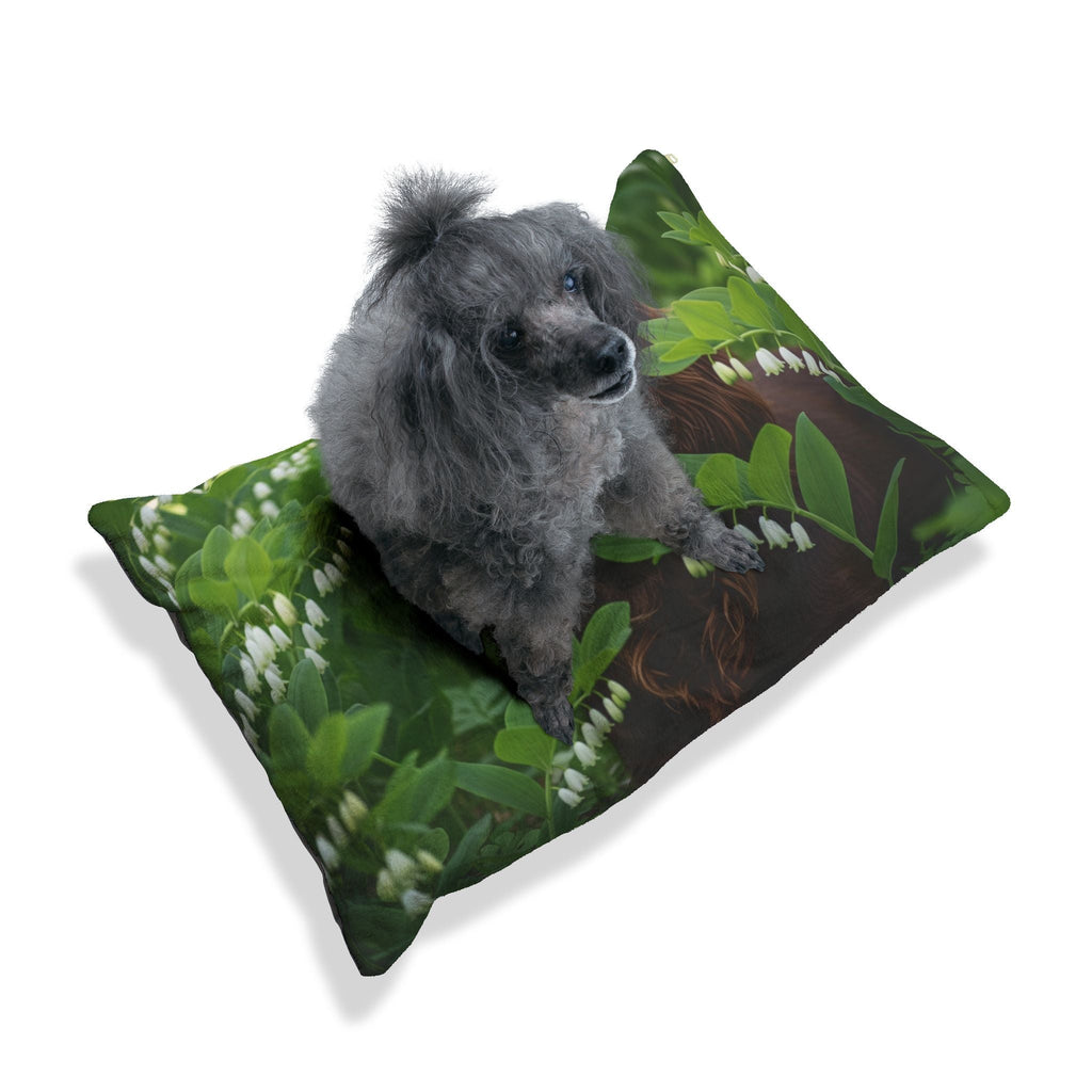 Pet Bed – Plush Dog Bed, 3 Size Options