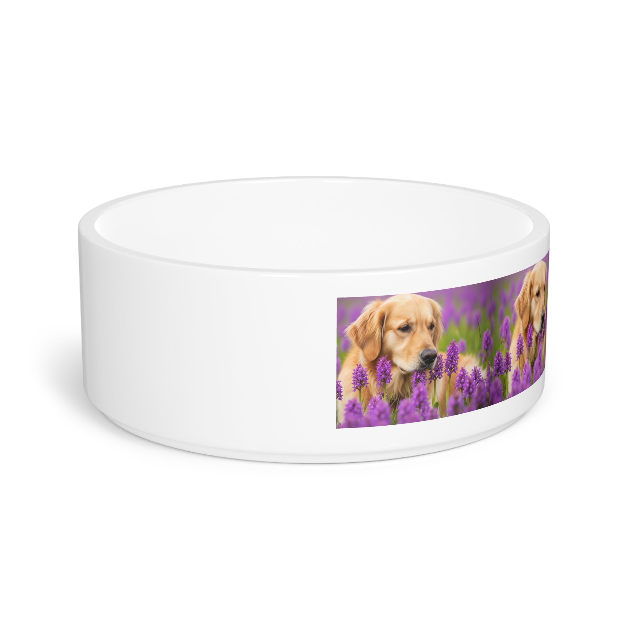 Ceramic Pet Bowl – 16 oz Dog Feeding Bowl