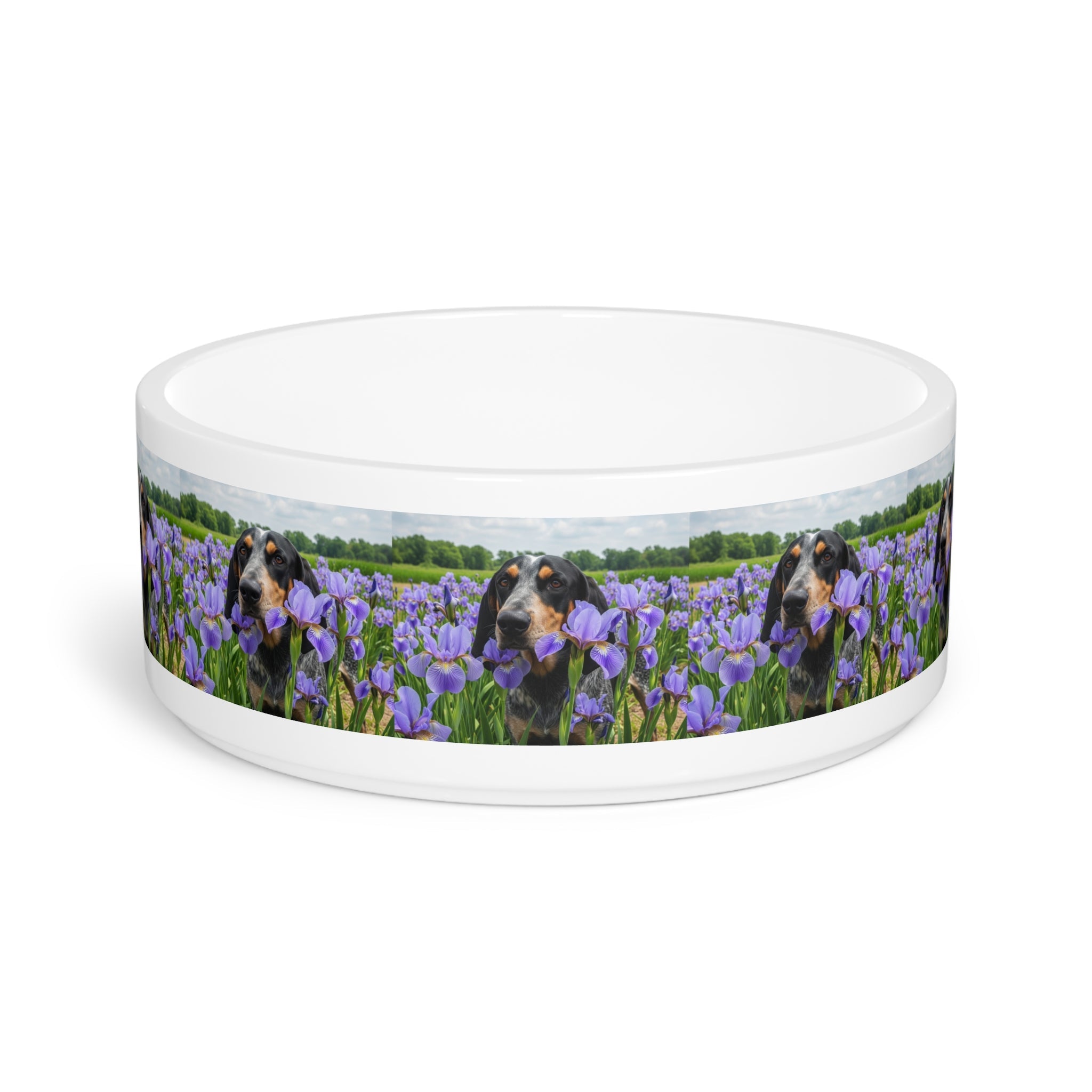 Ceramic Pet Bowl – 16 oz Dog Feeding Bowl