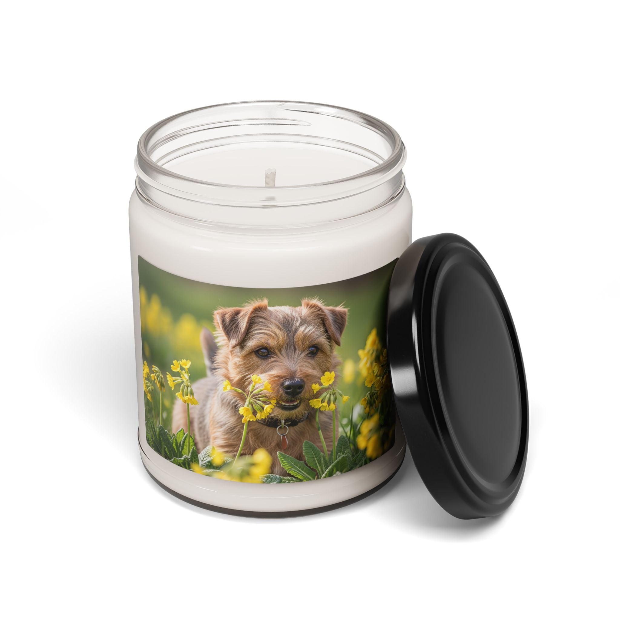 Soy Candle – Scented Jar Candle