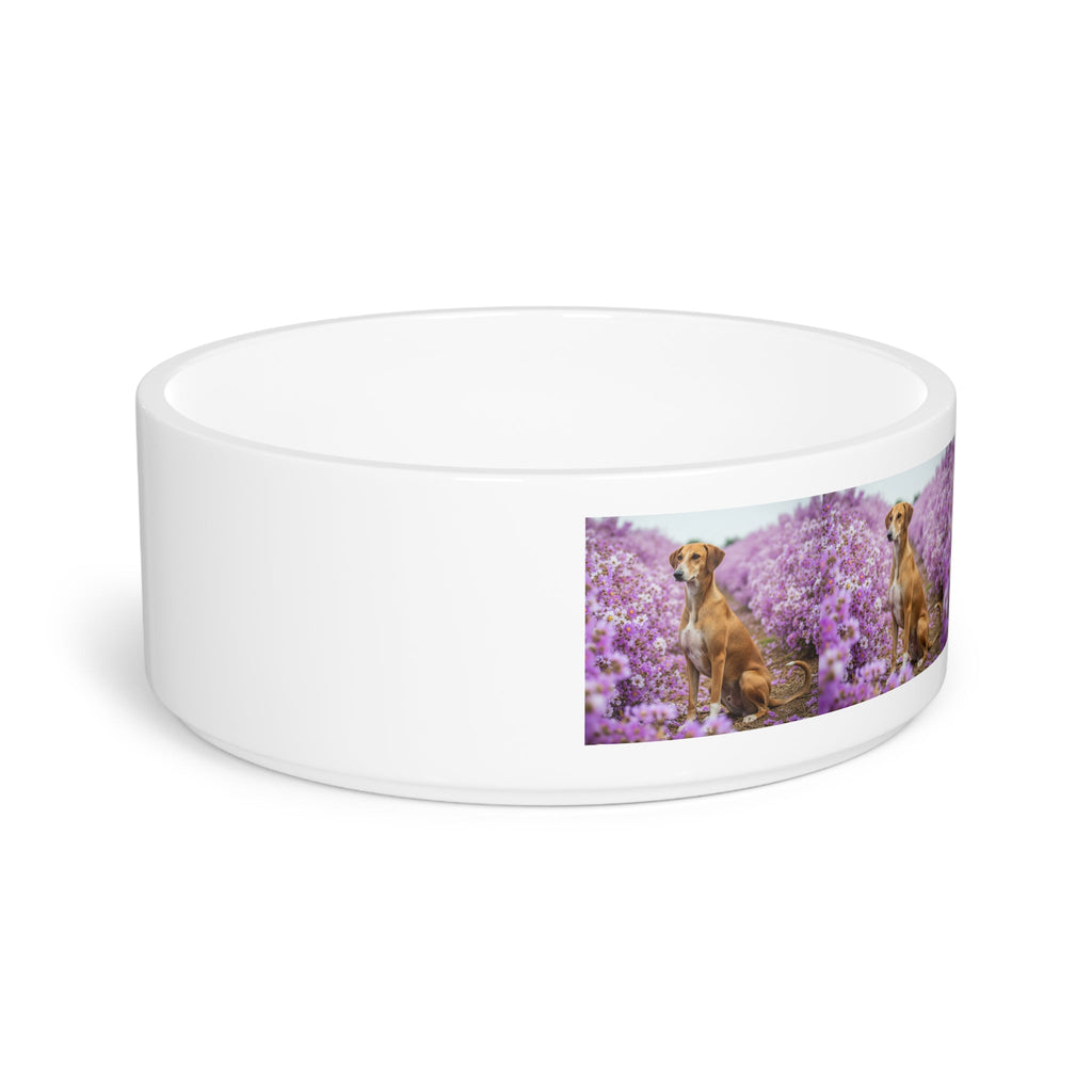 Ceramic Pet Bowl – 16 oz Dog Feeding Bowl