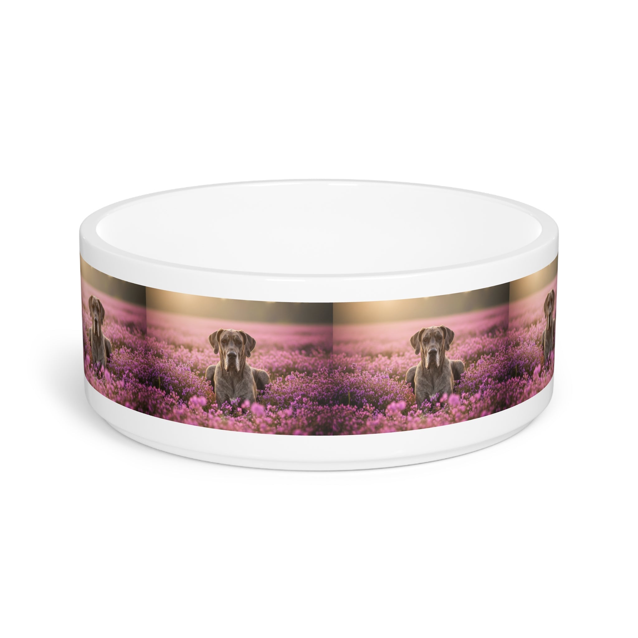 Ceramic Pet Bowl – 16 oz Dog Feeding Bowl