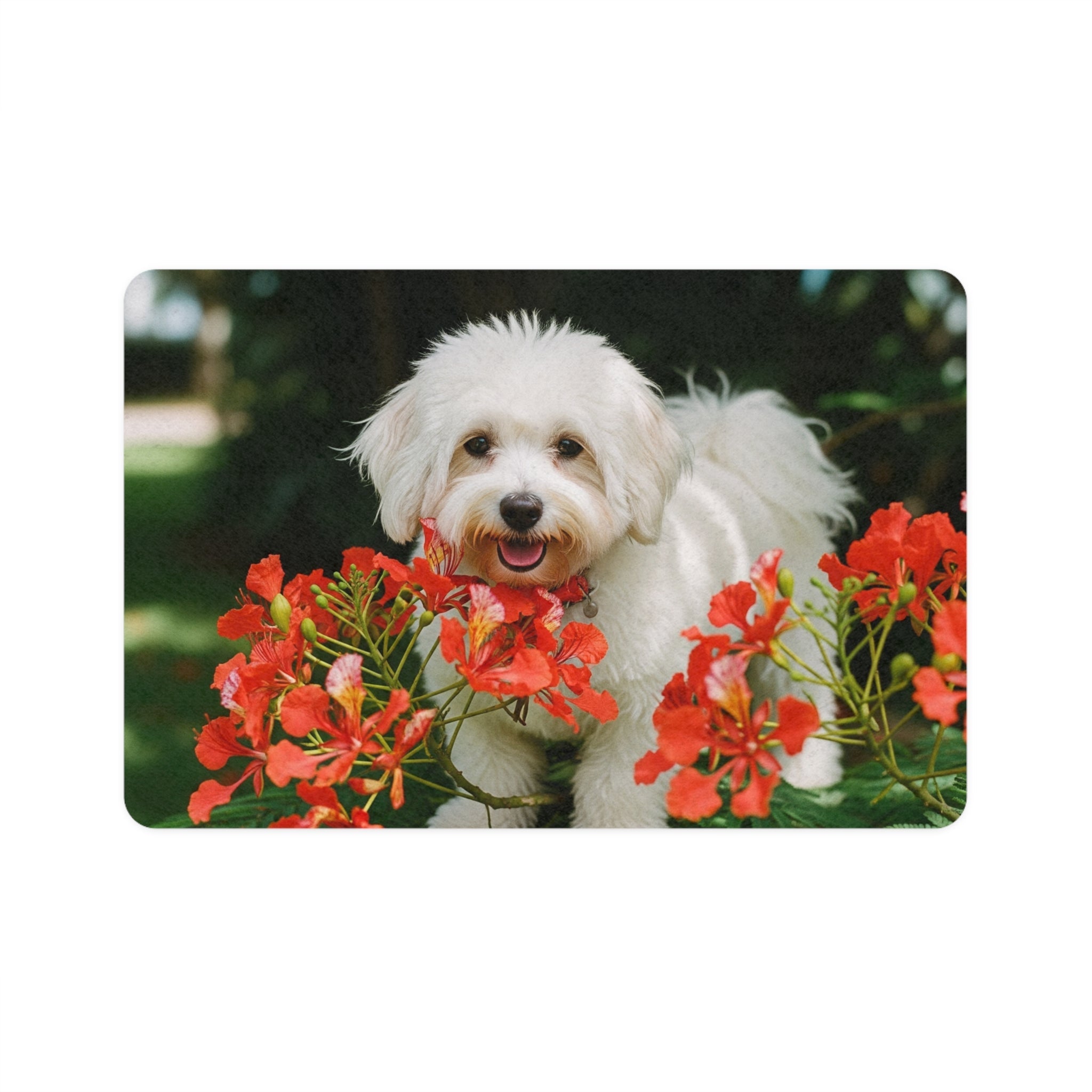 Non-Slip Pet Food Mat – Waterproof Feeding Mat for Dogs