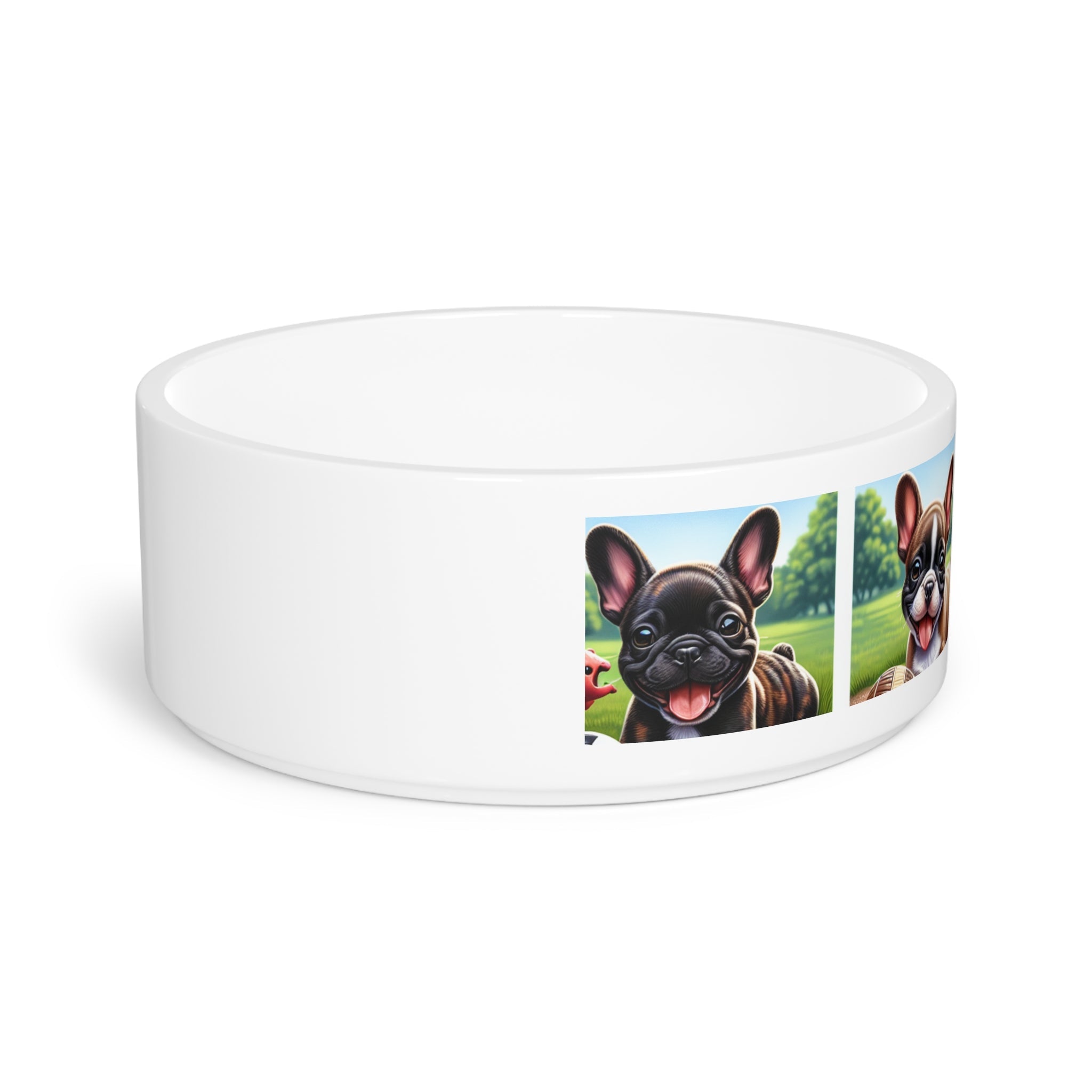 Ceramic Pet Bowl – 16 oz Dog Feeding Bowl