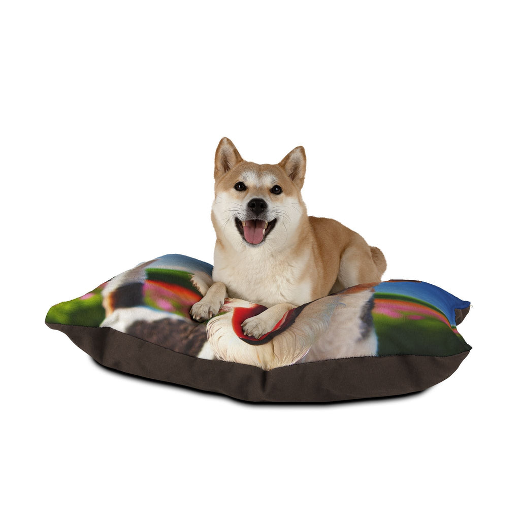 Pet Bed – Plush Dog Bed, 3 Size Options