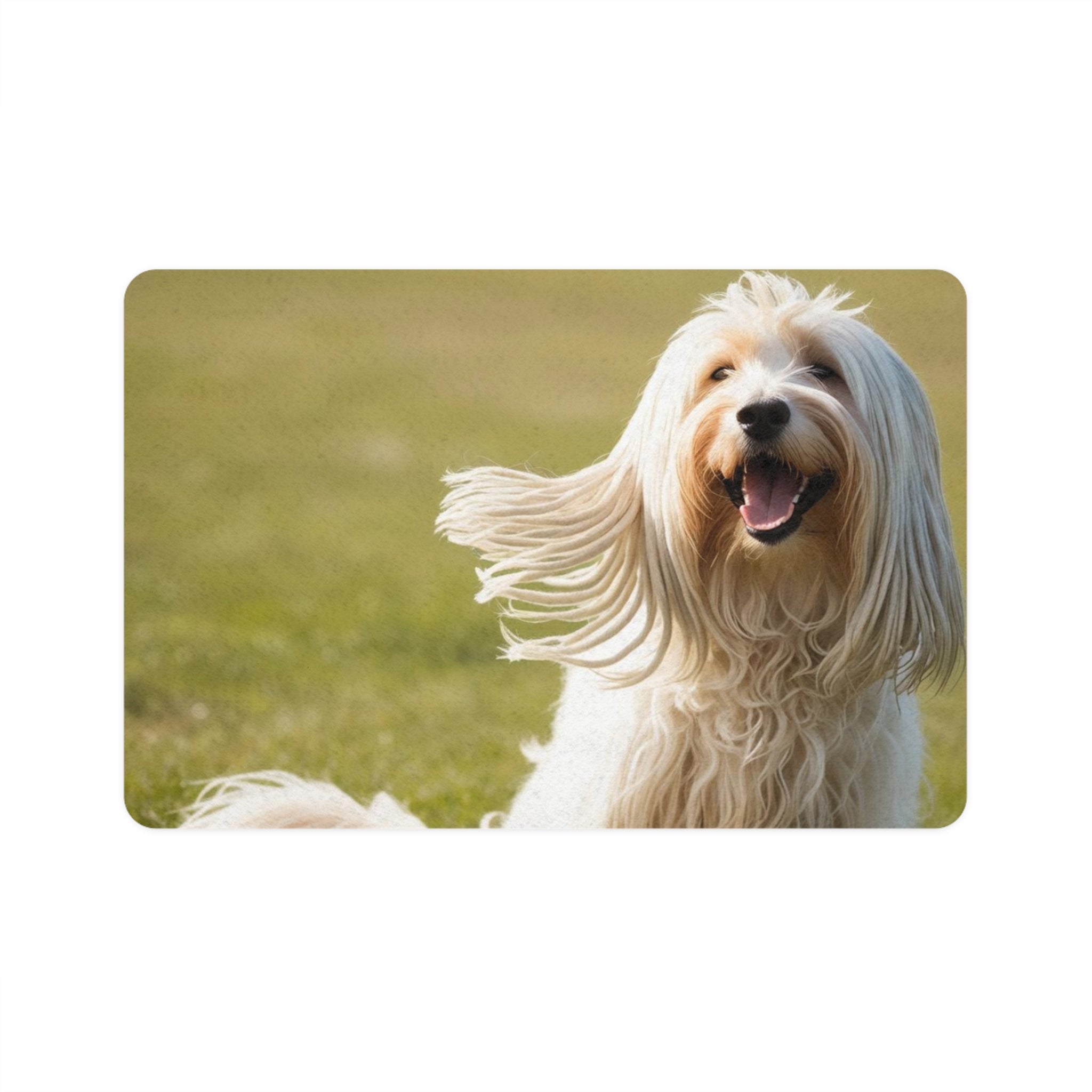 Non-Slip Pet Food Mat – Waterproof Feeding Mat for Dogs