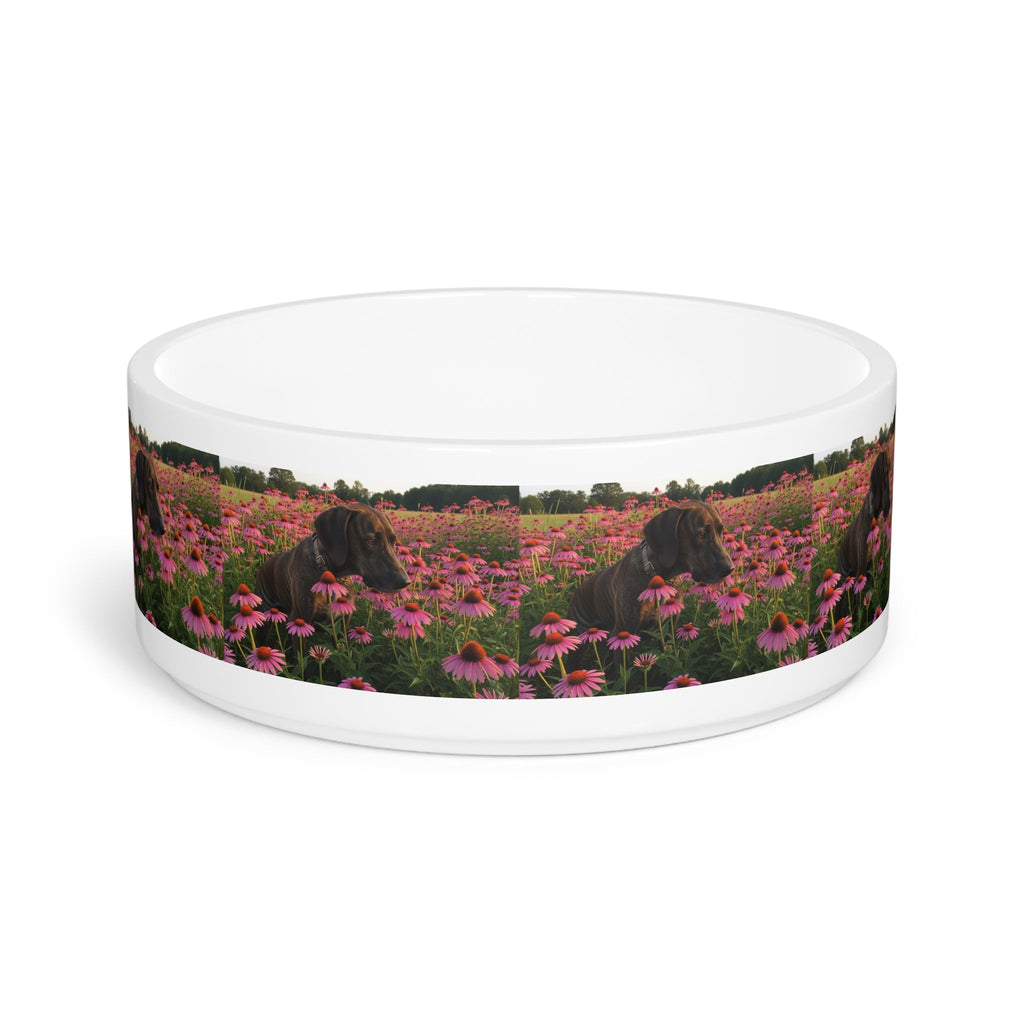 Ceramic Pet Bowl – 16 oz Dog Feeding Bowl
