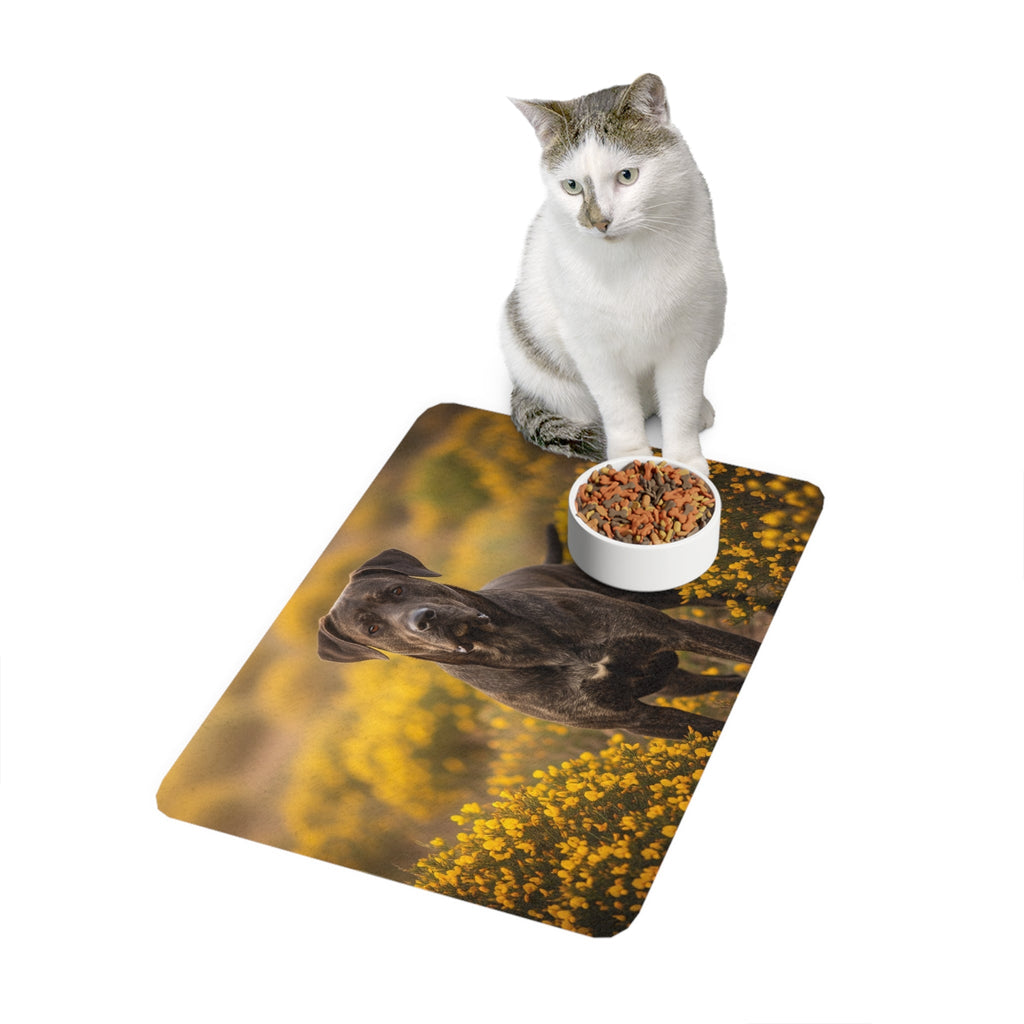 Non-Slip Pet Food Mat – Waterproof Feeding Mat for Dogs
