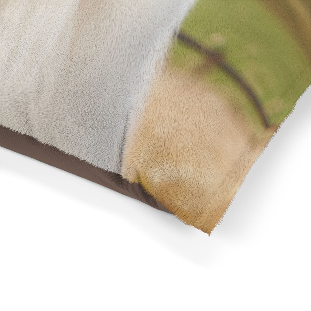 Pet Bed – Plush Dog Bed, 3 Size Options