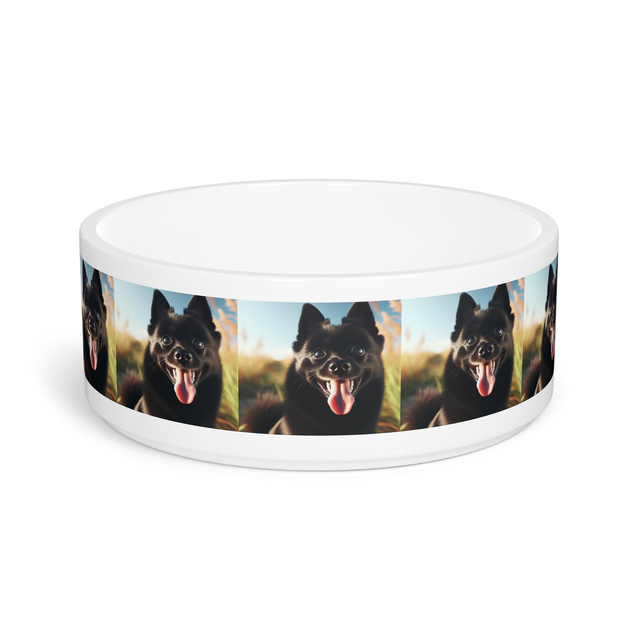 Ceramic Pet Bowl – 16 oz Dog Feeding Bowl