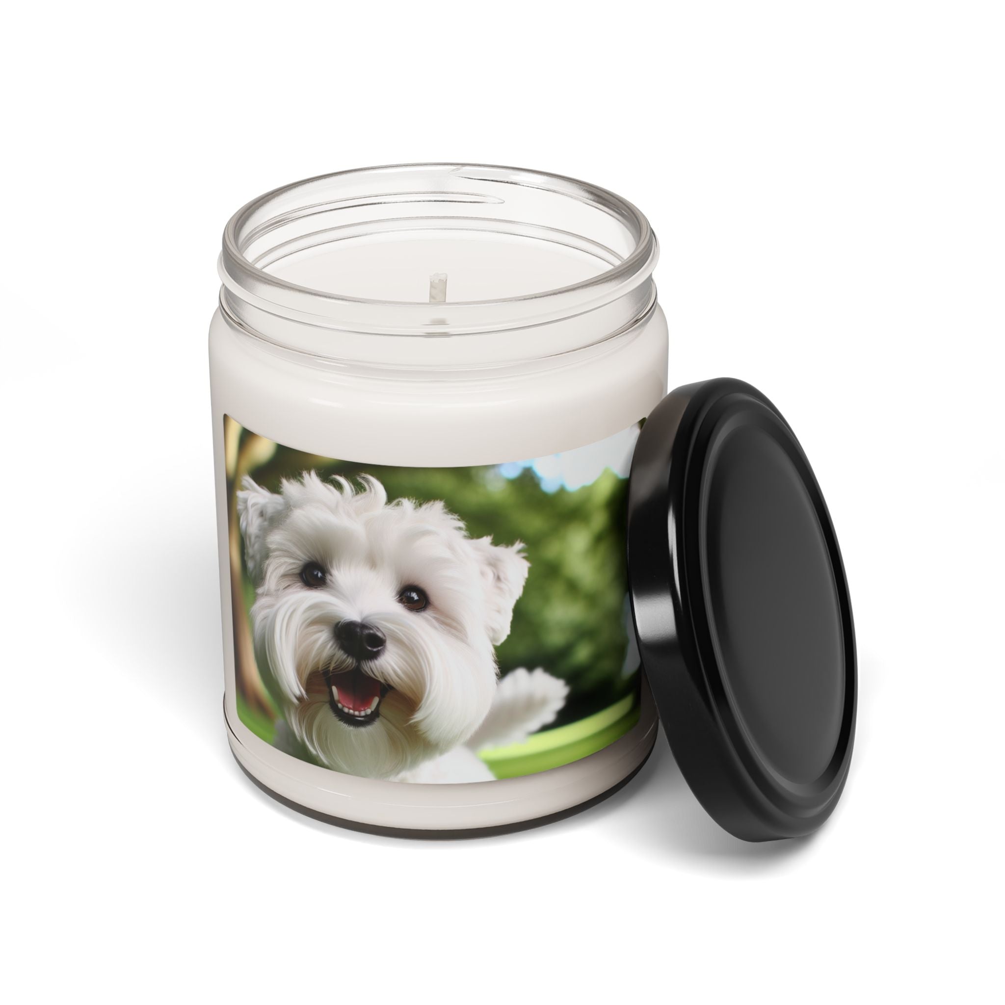 Soy Candle – Scented Jar Candle