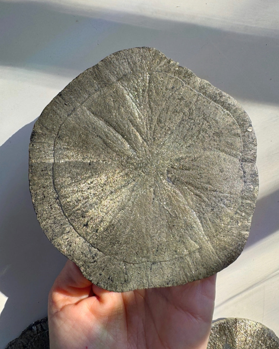 Pyrite Sun