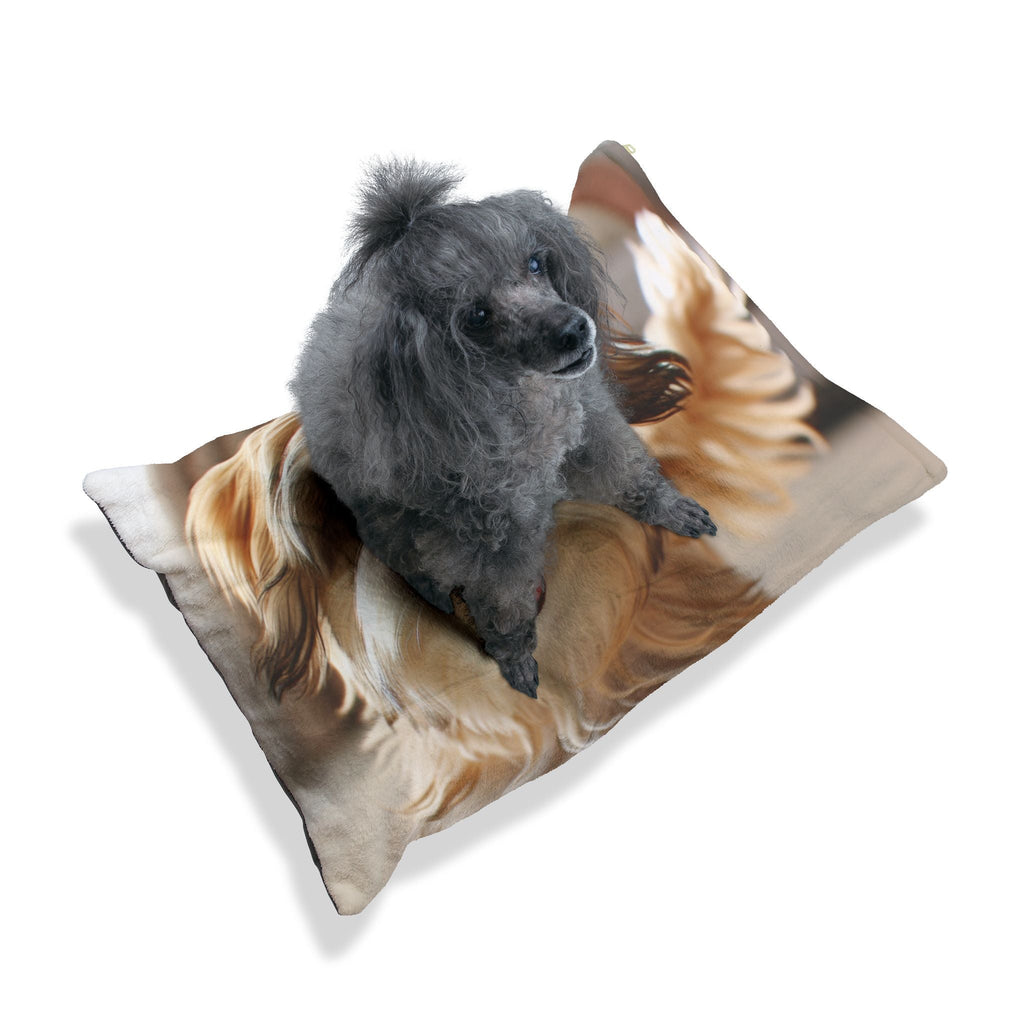 Pet Bed – Plush Dog Bed, 3 Size Options