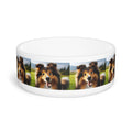 Ceramic Pet Bowl – 16 oz Dog Feeding Bowl