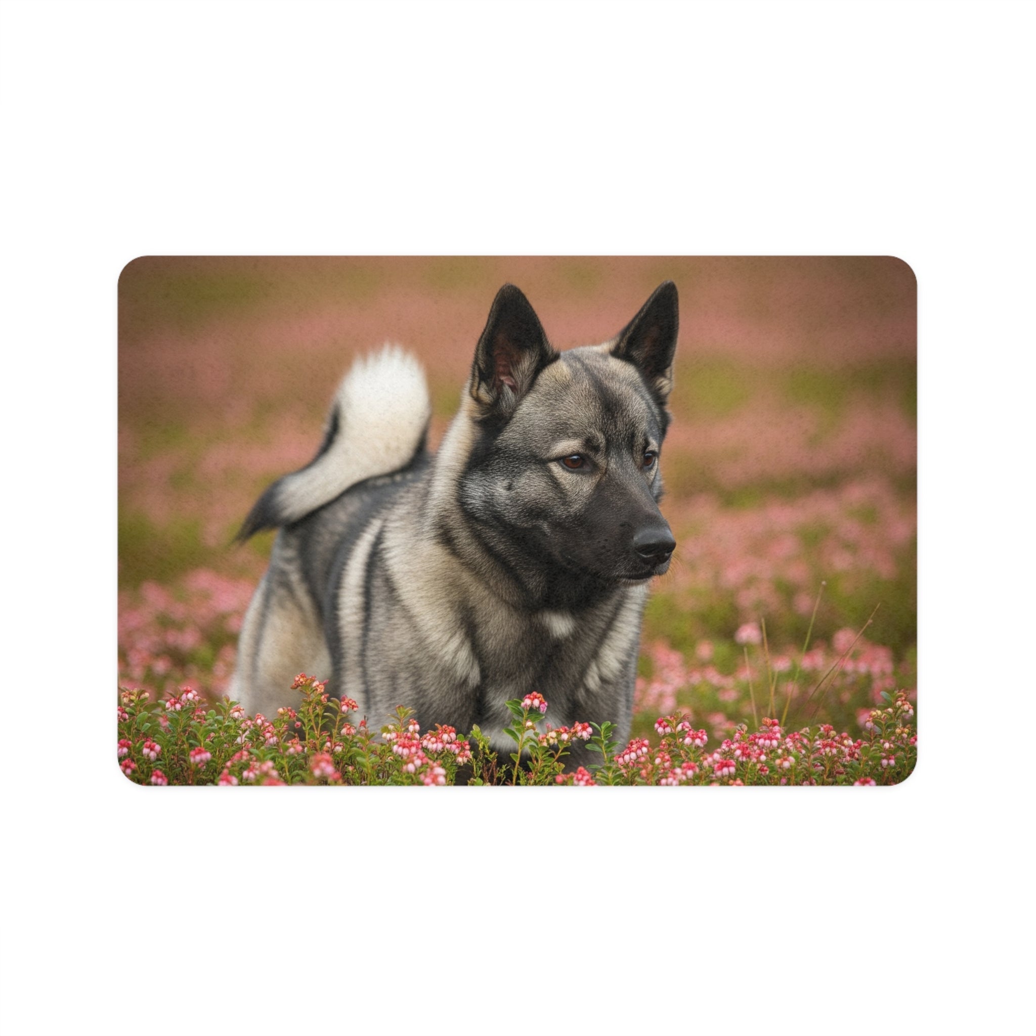 Non-Slip Pet Food Mat – Waterproof Feeding Mat for Dogs