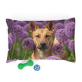 Pet Bed – Plush Dog Bed, 3 Size Options