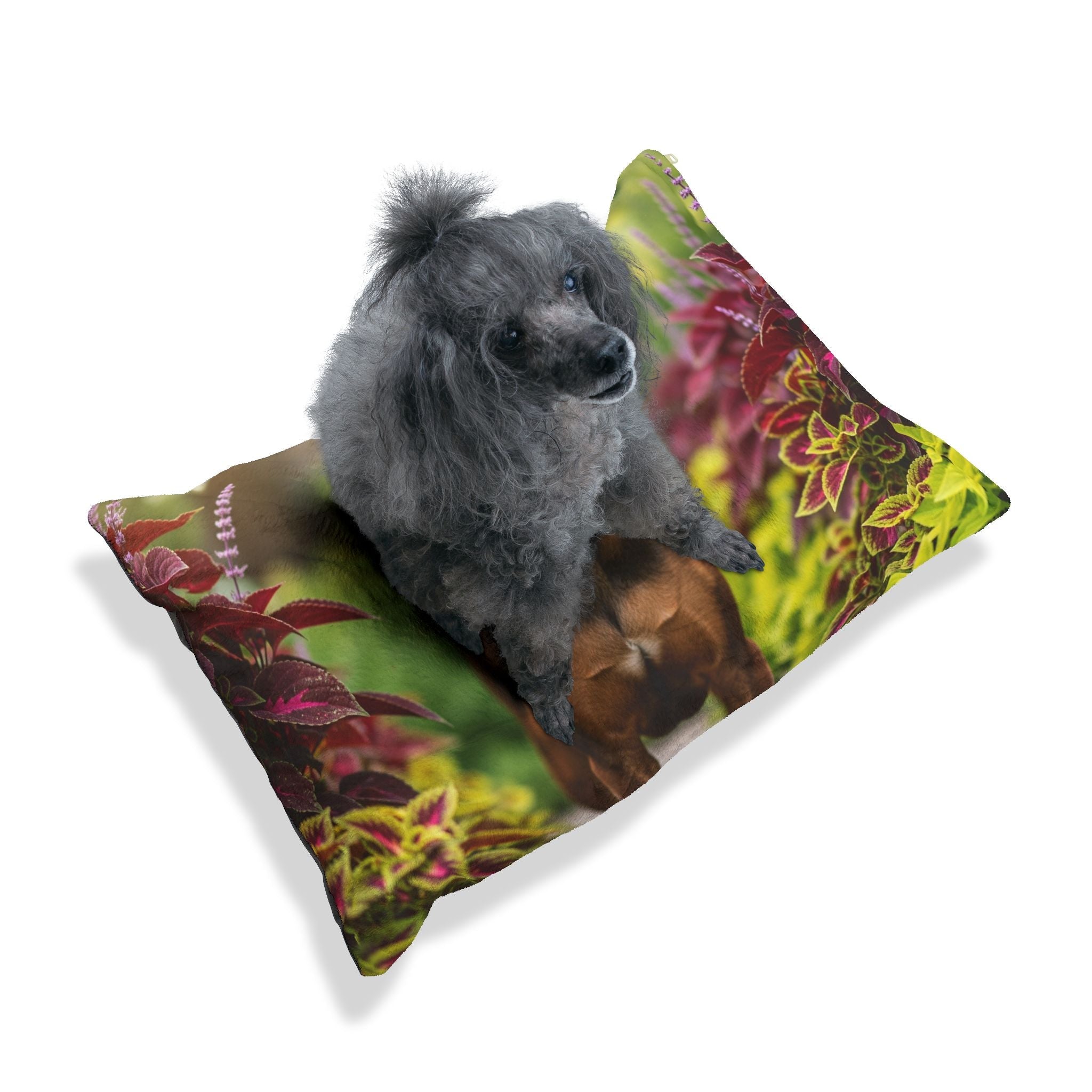 Pet Bed – Plush Dog Bed, 3 Size Options