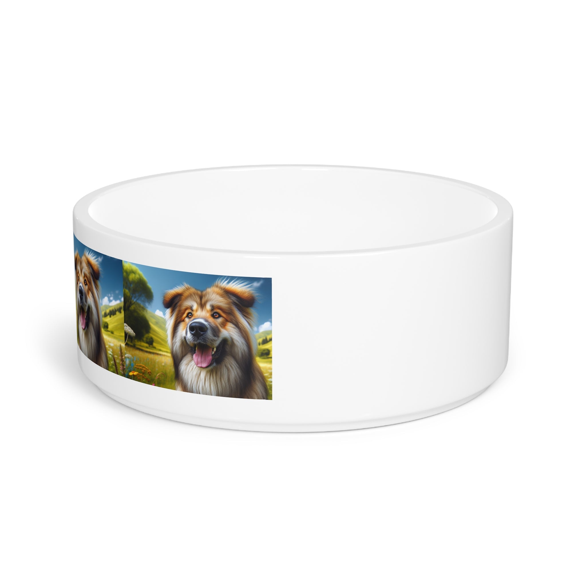 Ceramic Pet Bowl – 16 oz Dog Feeding Bowl
