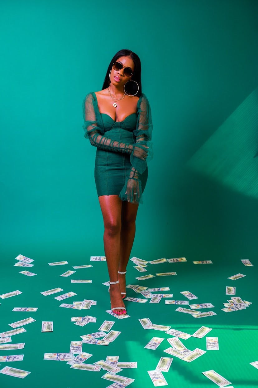 Escrow Mini Dress