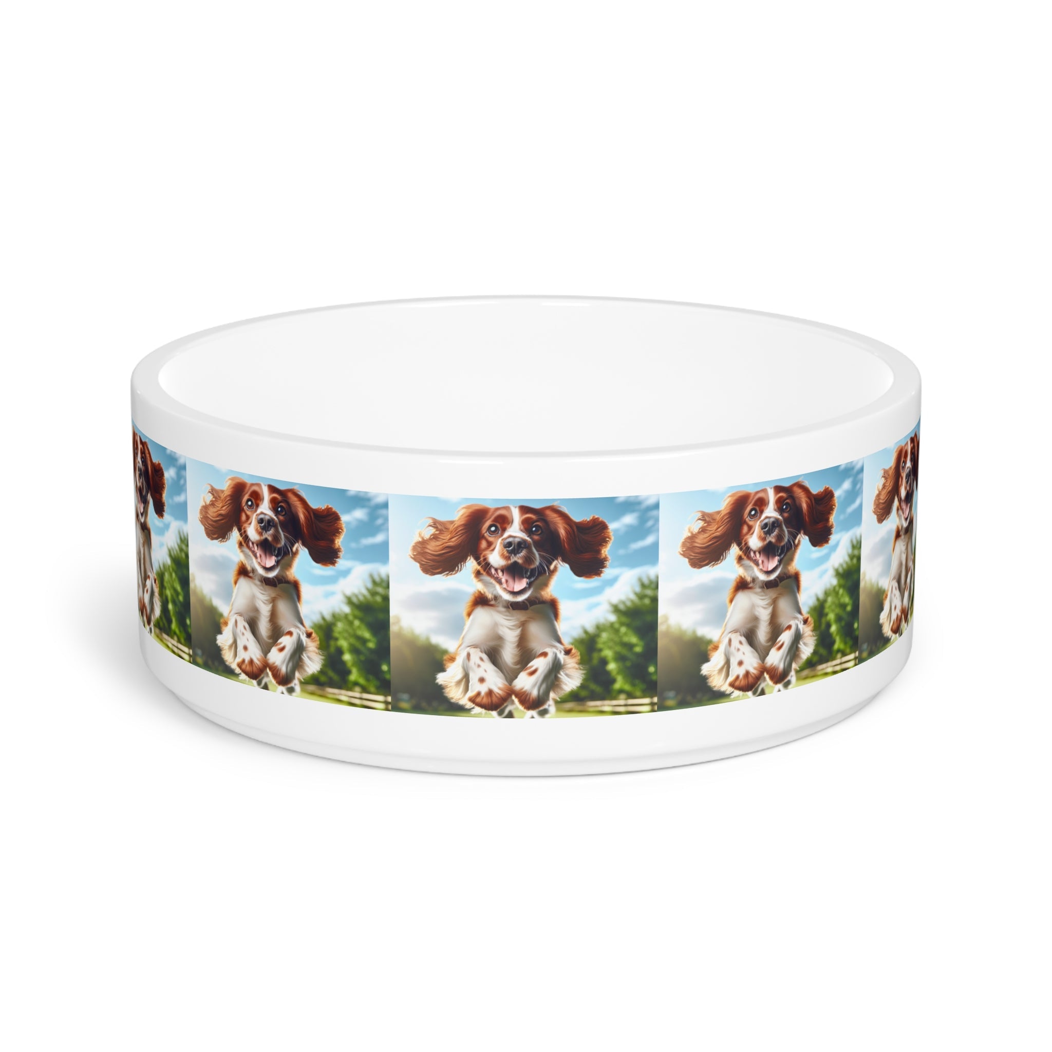 Ceramic Pet Bowl – 16 oz Dog Feeding Bowl