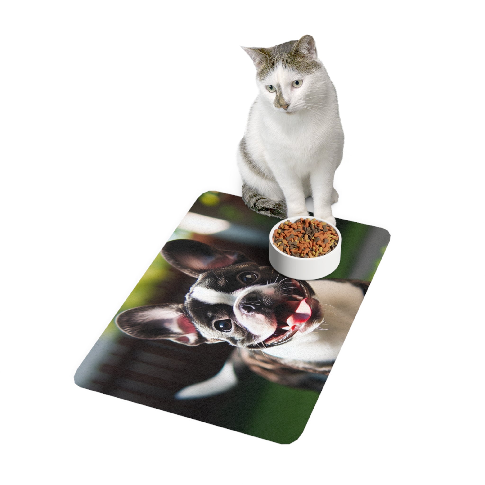Non-Slip Pet Food Mat – Waterproof Feeding Mat for Dogs