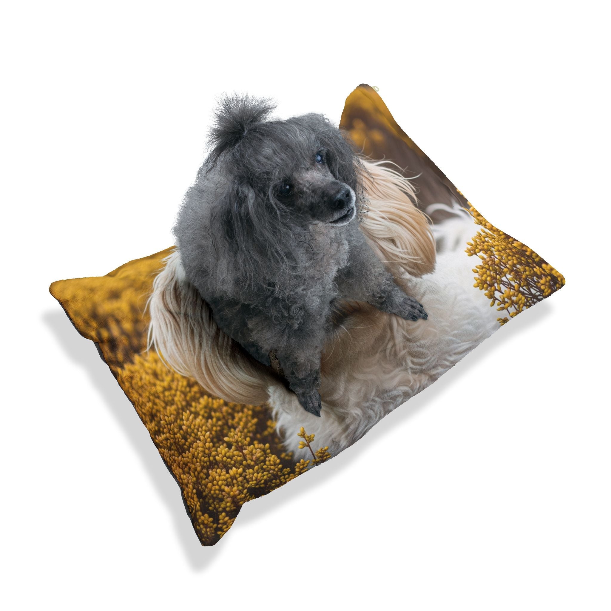 Pet Bed – Plush Dog Bed, 3 Size Options