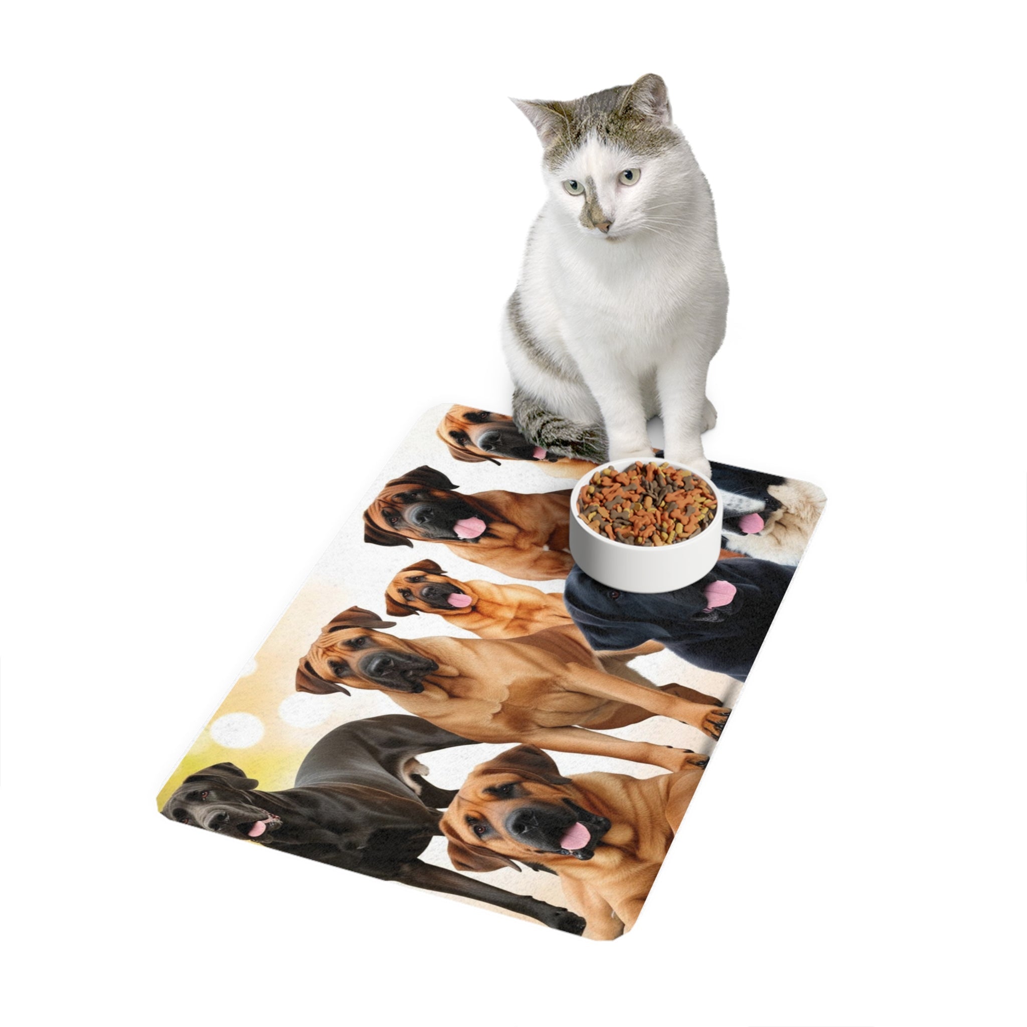 Non-Slip Pet Food Mat – Waterproof Feeding Mat for Dogs