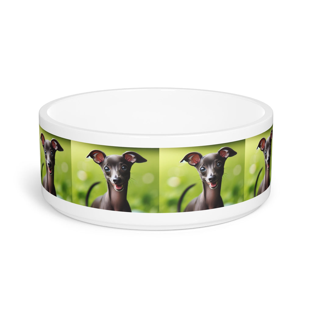 Ceramic Pet Bowl – 16 oz Dog Feeding Bowl