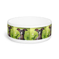 Ceramic Pet Bowl – 16 oz Dog Feeding Bowl