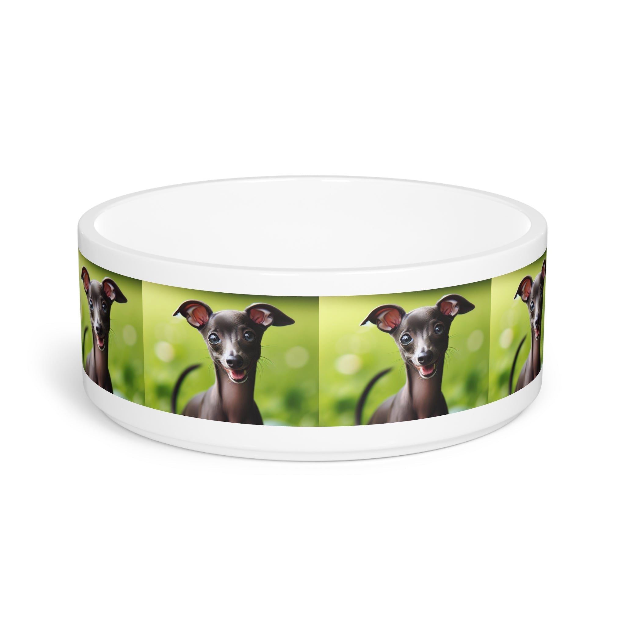 Ceramic Pet Bowl – 16 oz Dog Feeding Bowl