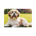 Non-Slip Pet Food Mat – Waterproof Feeding Mat for Dogs