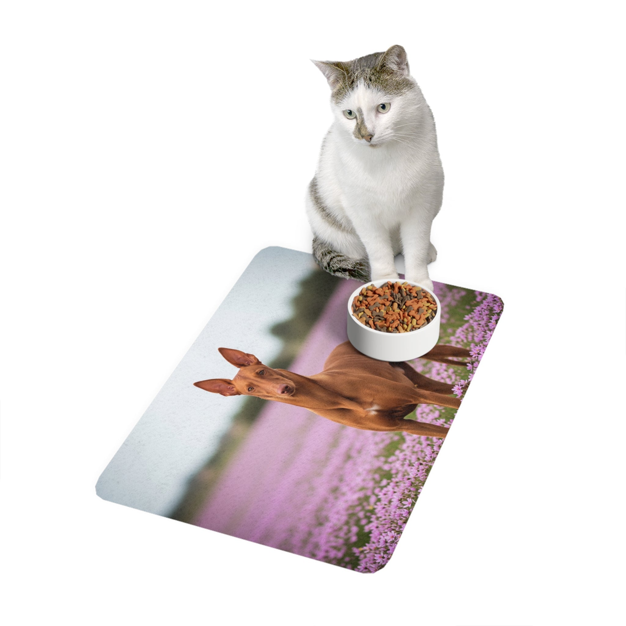 Non-Slip Pet Food Mat – Waterproof Feeding Mat for Dogs