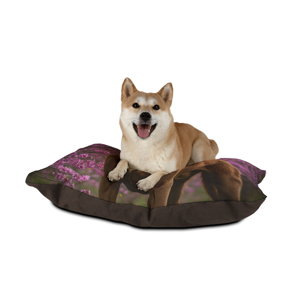 Pet Bed – Plush Dog Bed, 3 Size Options