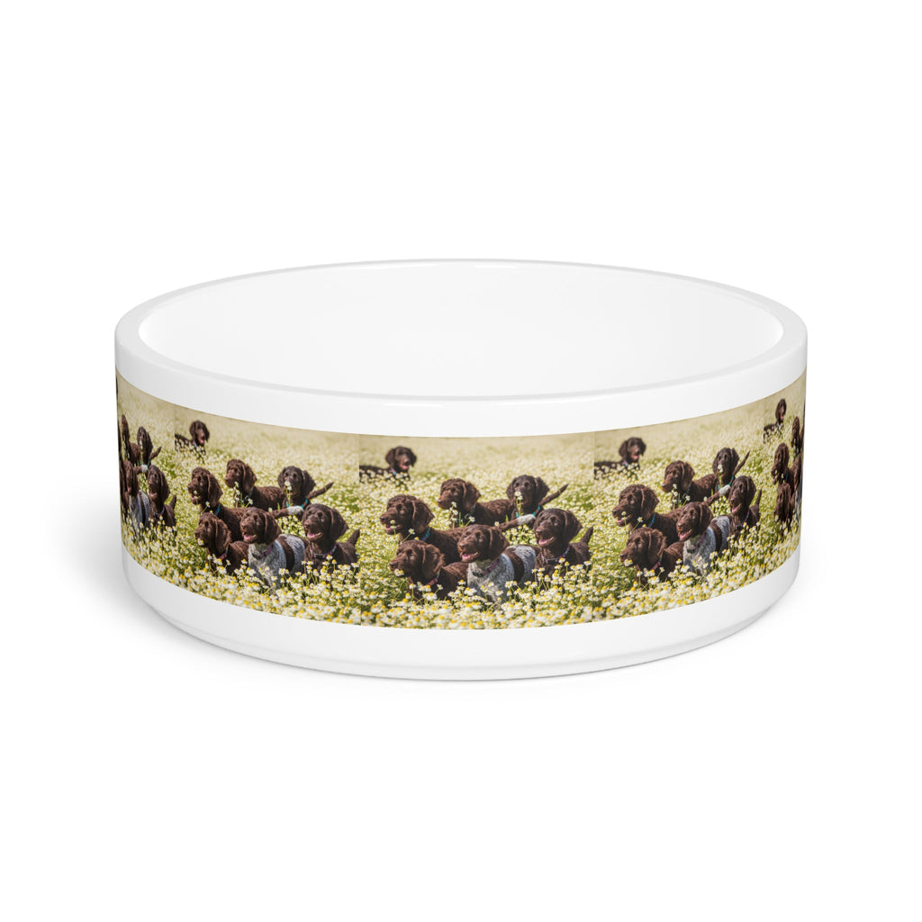 Ceramic Pet Bowl – 16 oz Dog Feeding Bowl