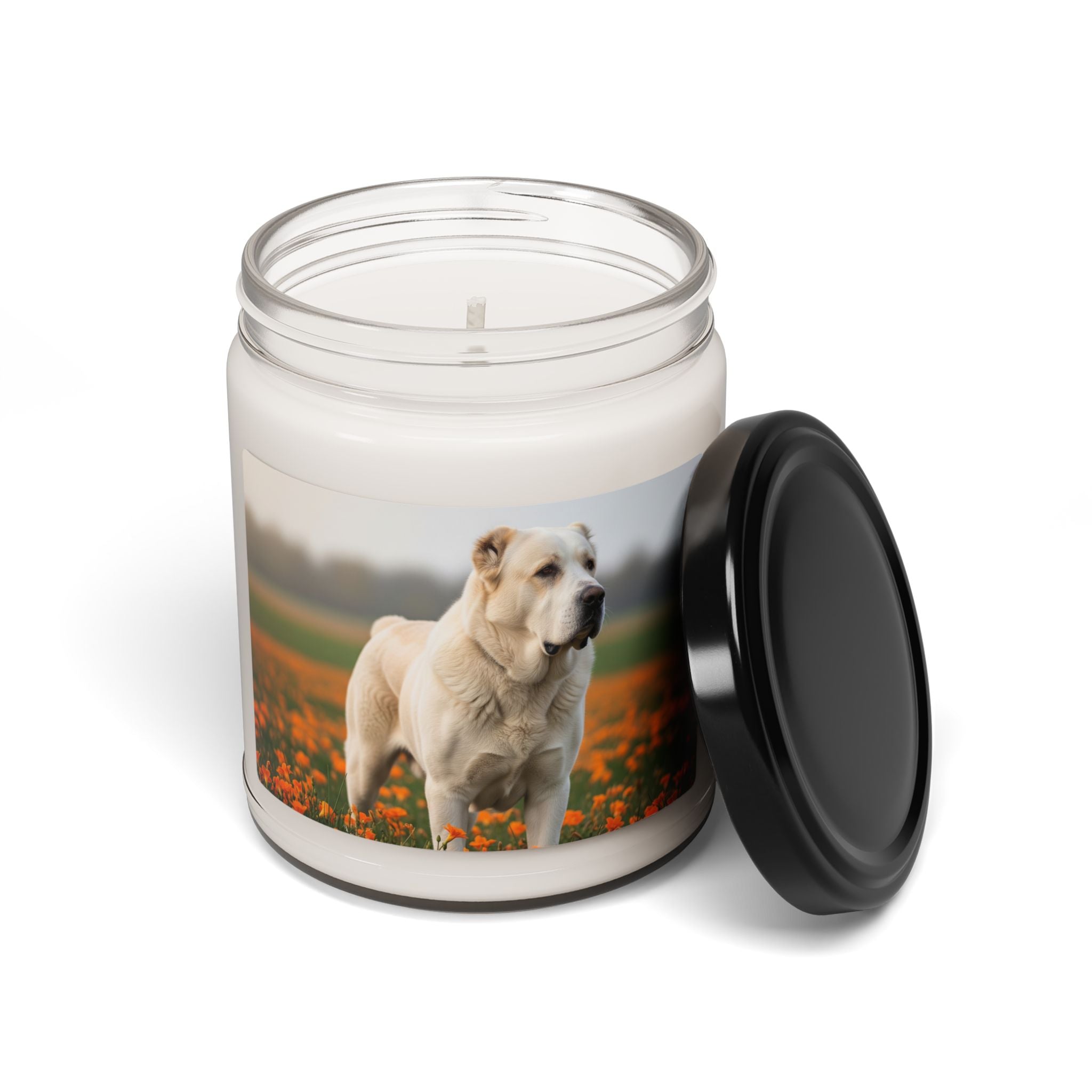 Soy Candle – Scented Jar Candle