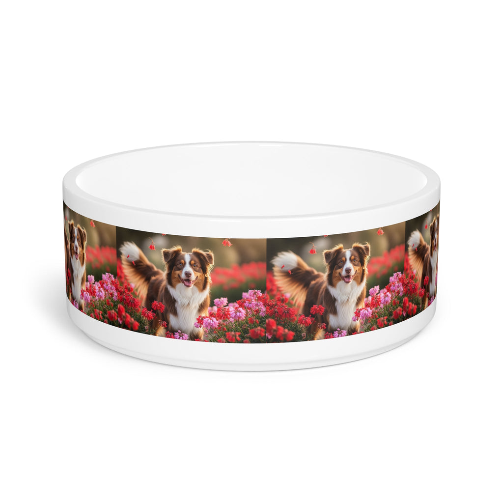 Ceramic Pet Bowl – 16 oz Dog Feeding Bowl