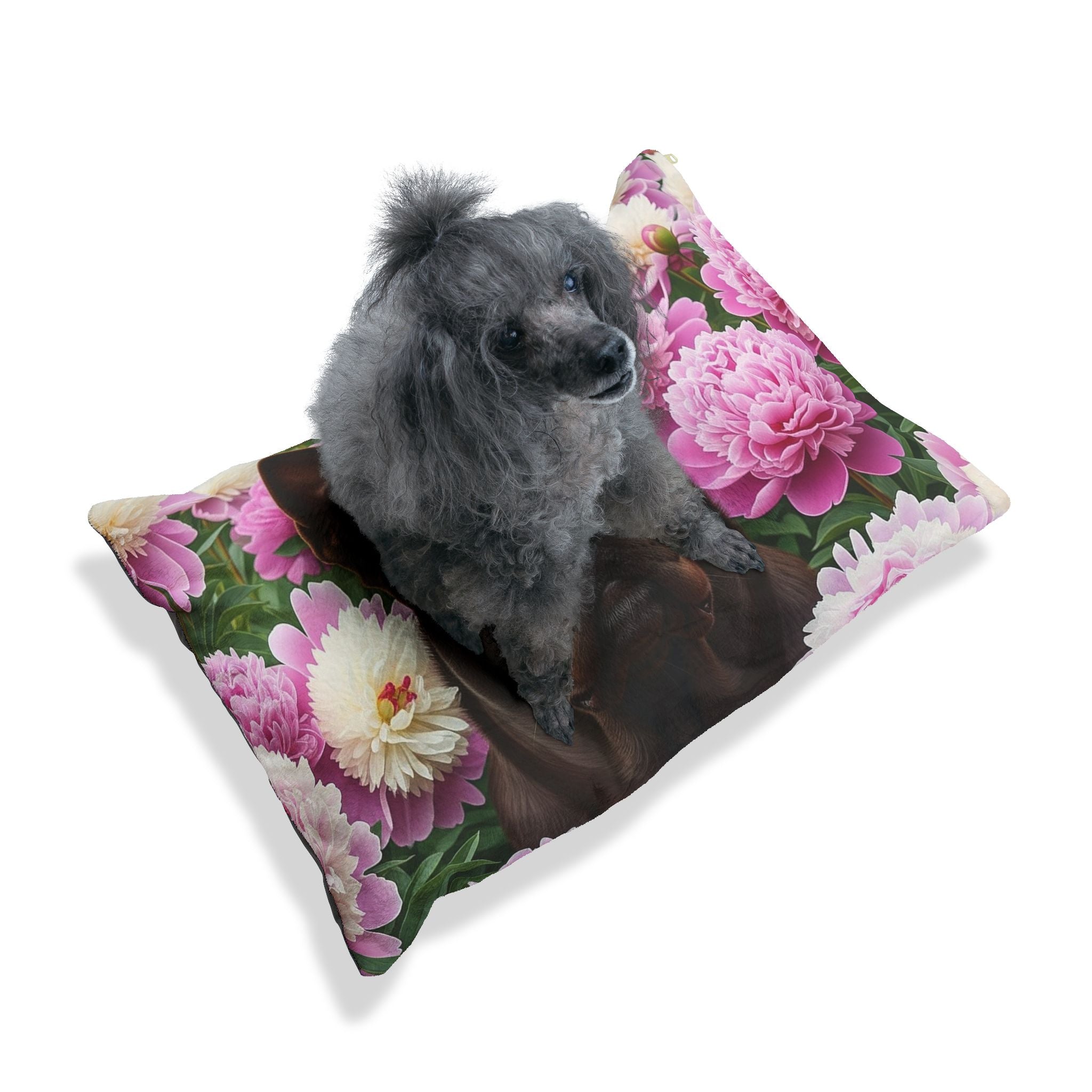 Pet Bed – Plush Dog Bed, 3 Size Options