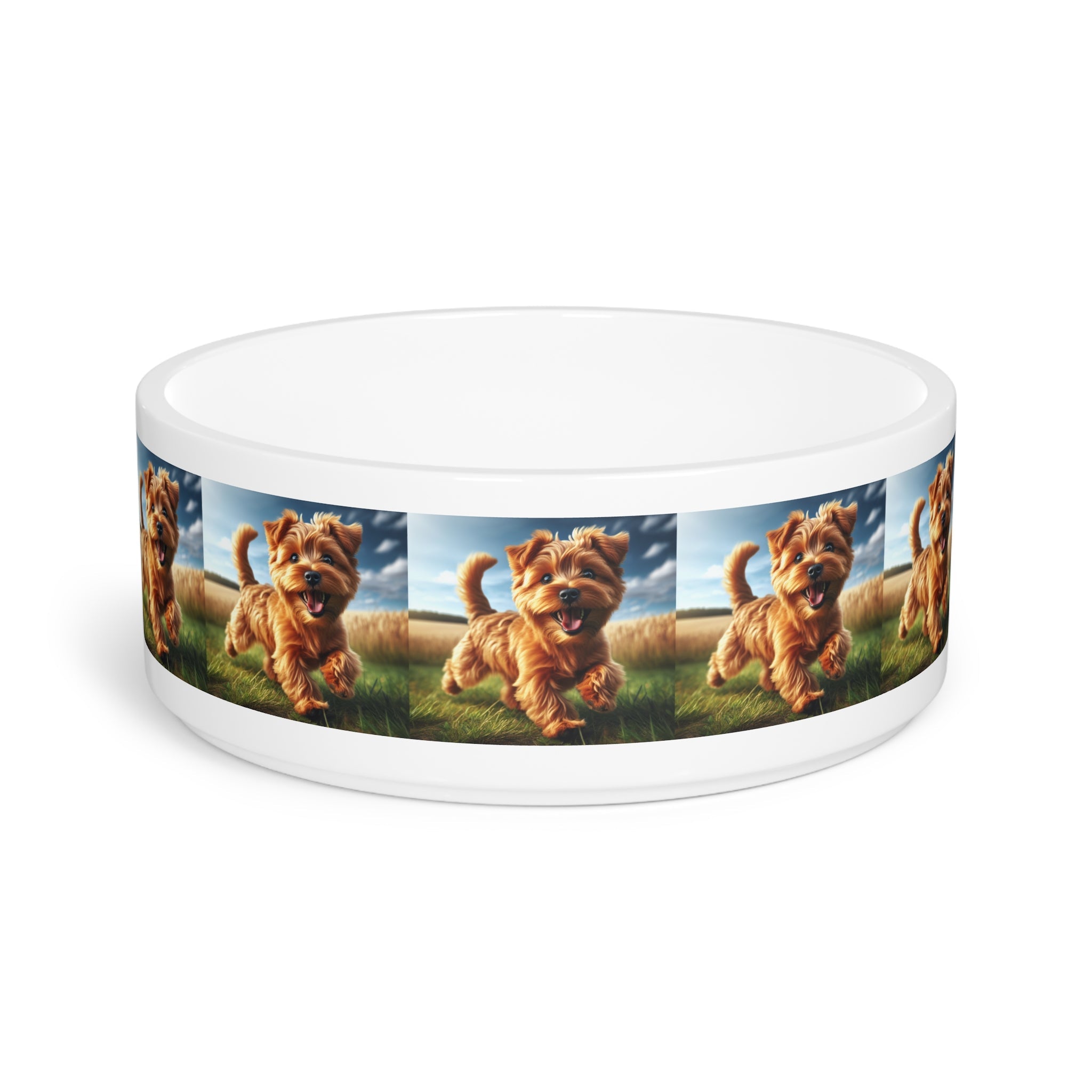 Ceramic Pet Bowl – 16 oz Dog Feeding Bowl